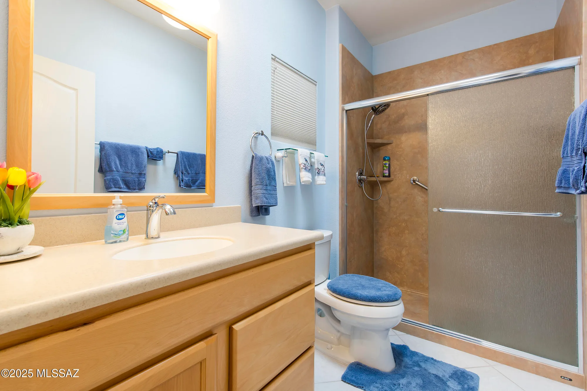 Property Slideshow image 28 of 50 | 14106 n buckingham dr, Oro Valley, AZ, 85755