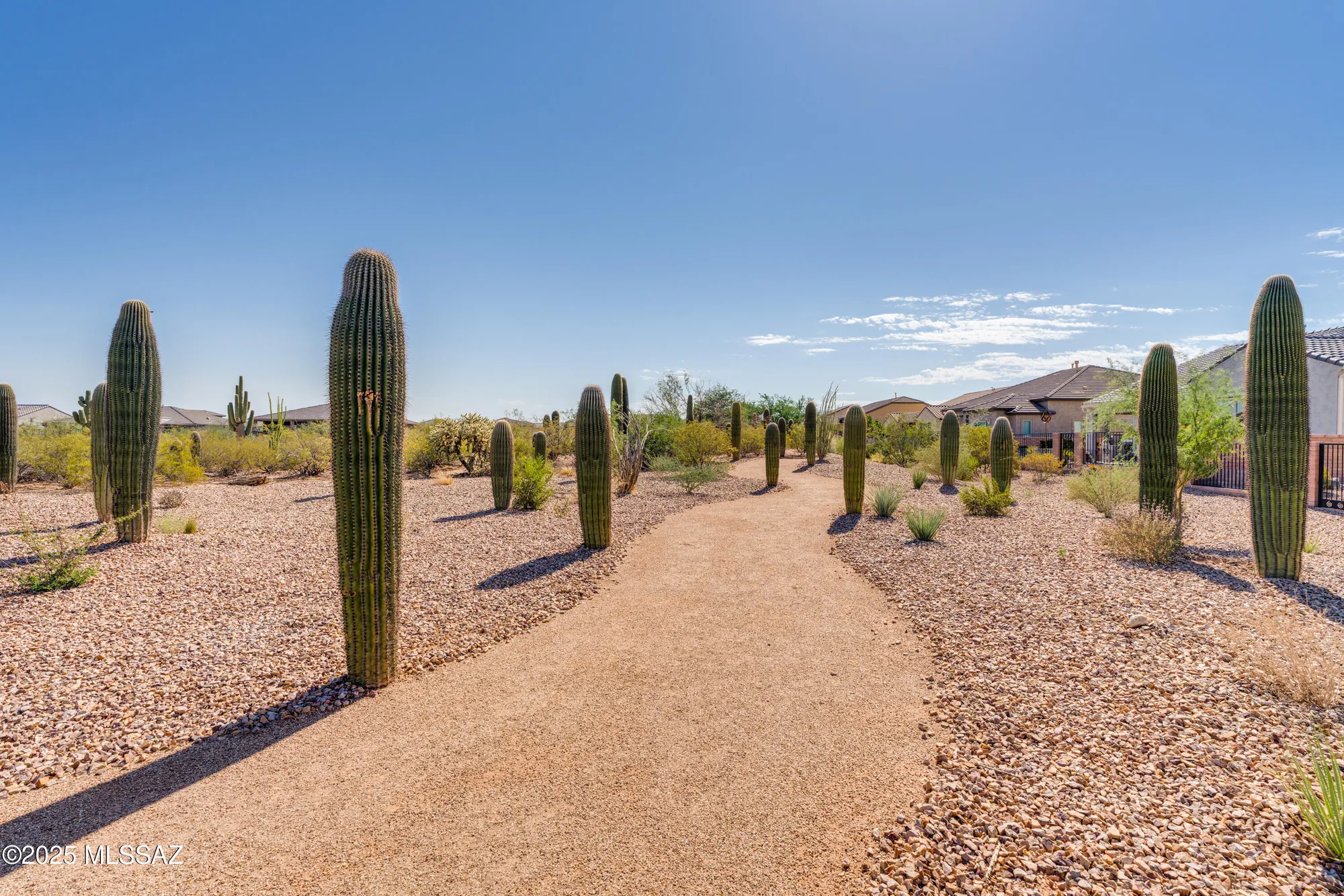 Property Slideshow image 47 of 50 | 1732 n coastland ct, Green Valley, AZ, 85614