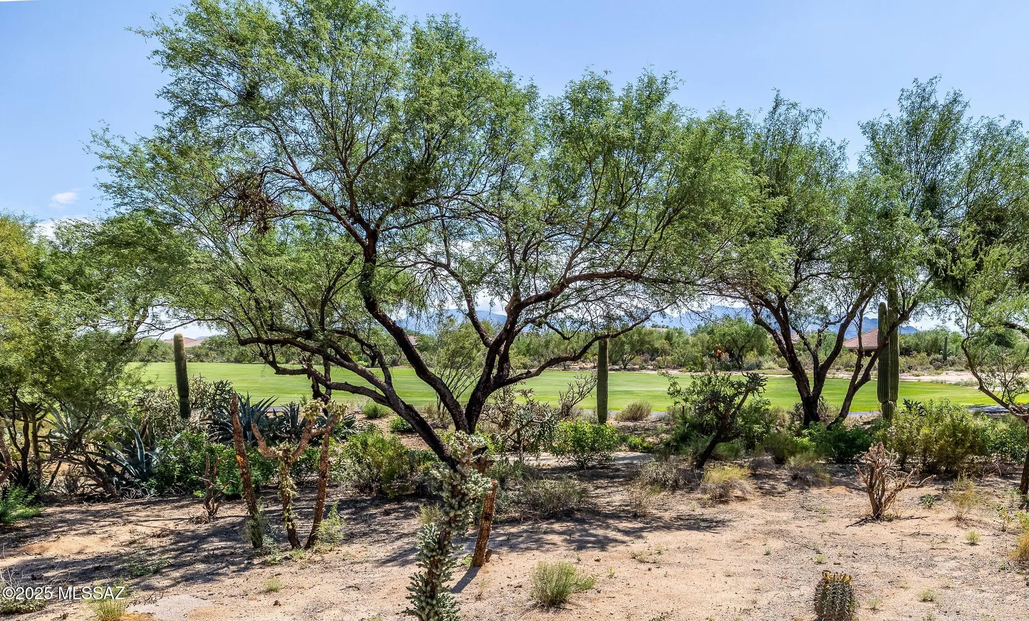Property Slideshow image 35 of 47 | 12988 n burrobush loop, Marana, AZ, 85658