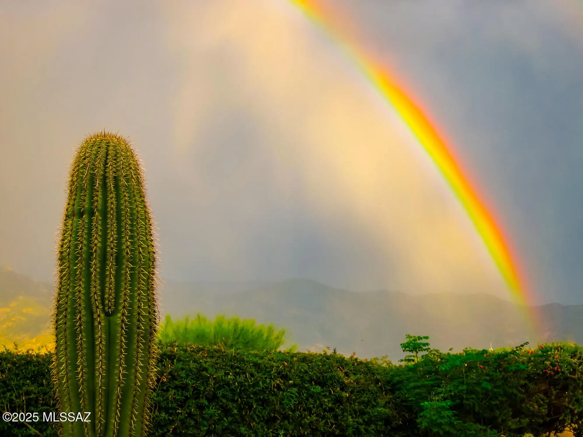 Property Slideshow image 40 of 41 | 63711 e haven ln, Tucson, AZ, 85739