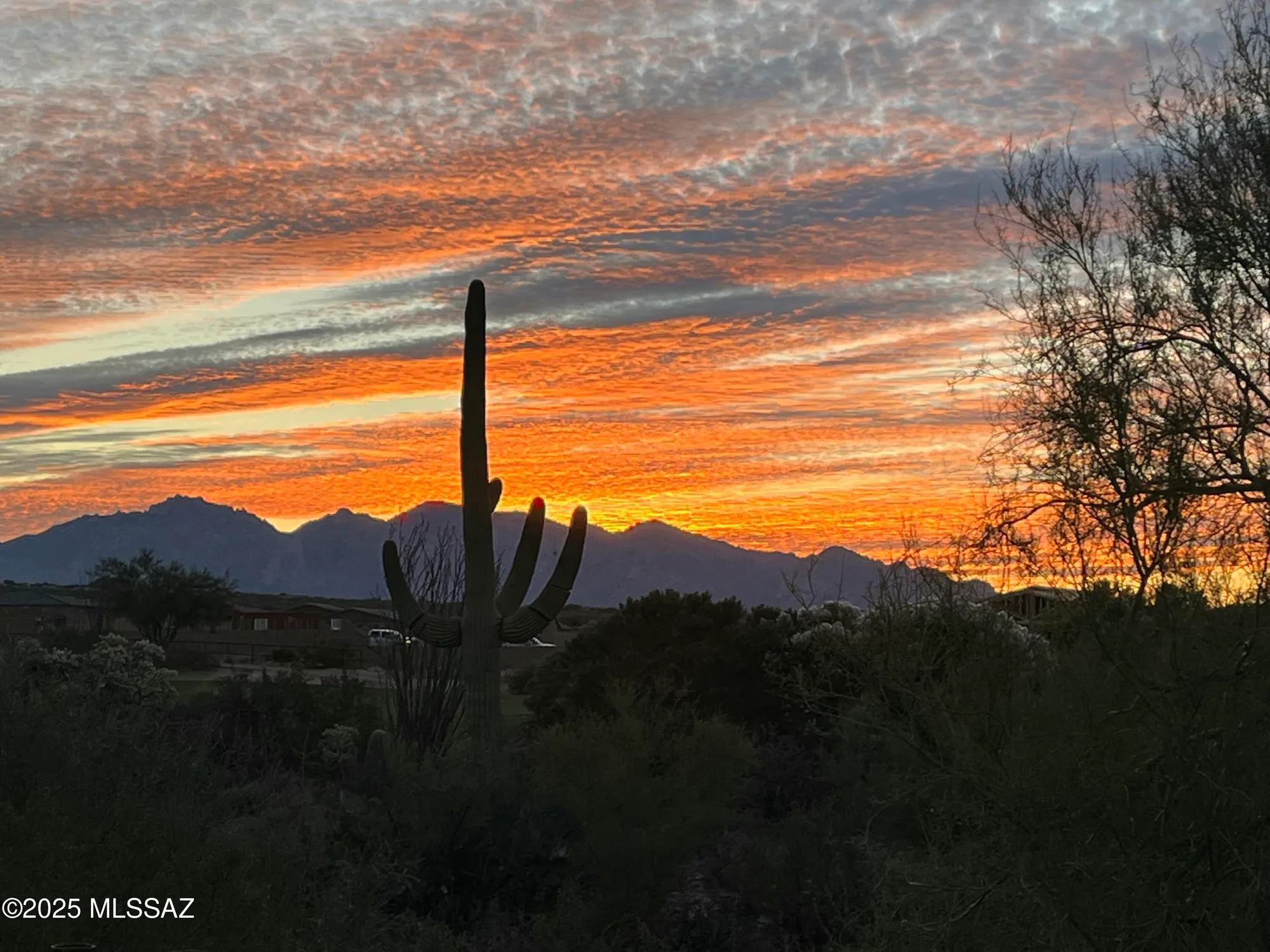 Property Slideshow image 3 of 50 | 6709 w kaibab trl, Marana, AZ, 85658
