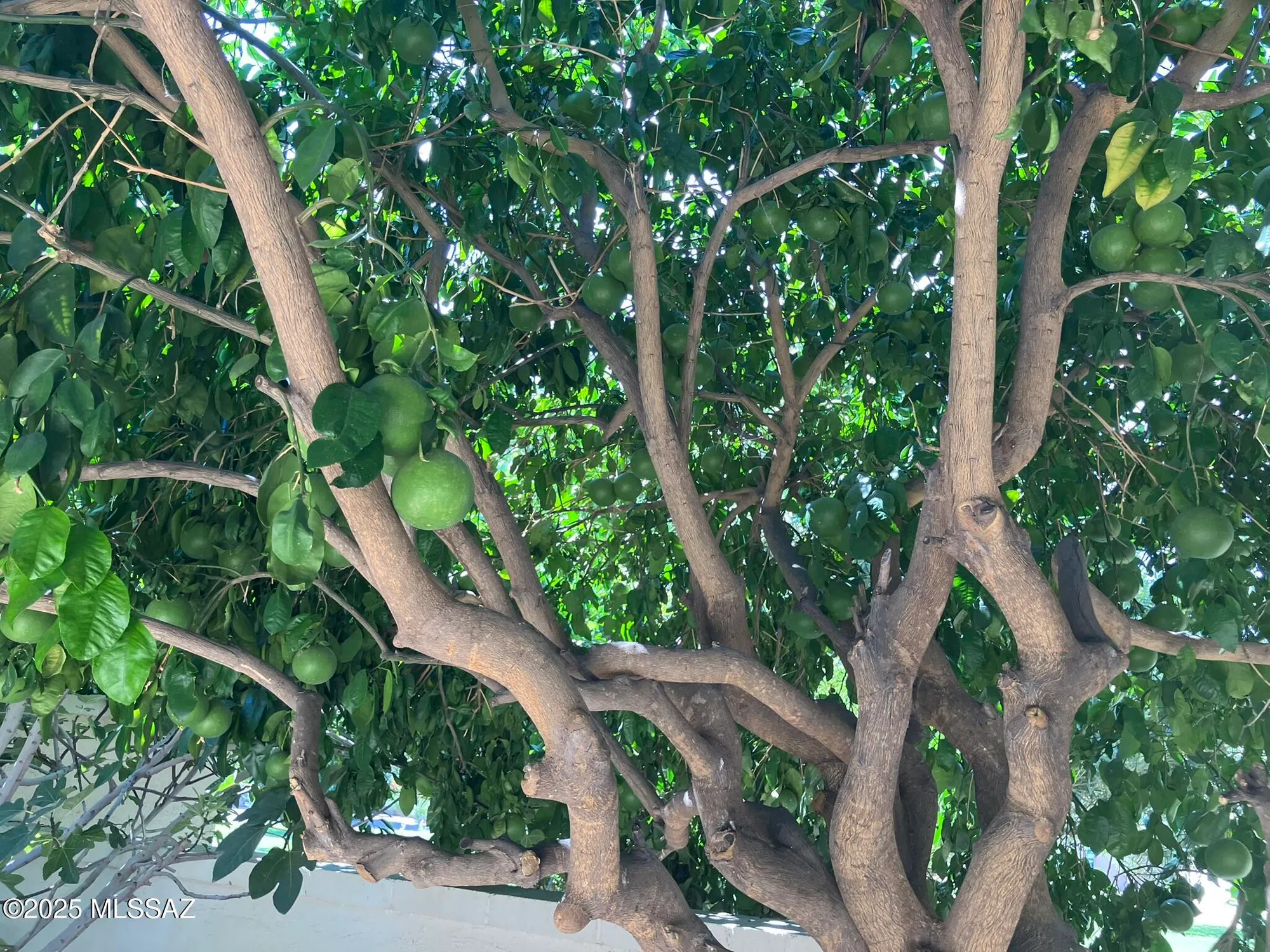 Property Slideshow image 43 of 50 | 2757 w casas dr, Tucson, AZ, 85742