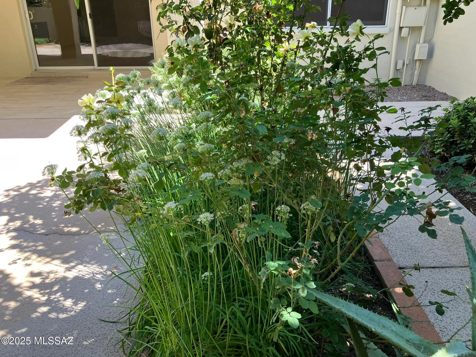 Property Slideshow image 45 of 50 | 2757 w casas dr, Tucson, AZ, 85742