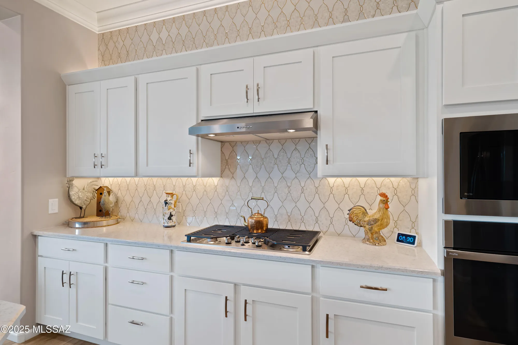 Property Slideshow image 7 of 50 | 61597 e marble dr, Oracle, AZ, 85623