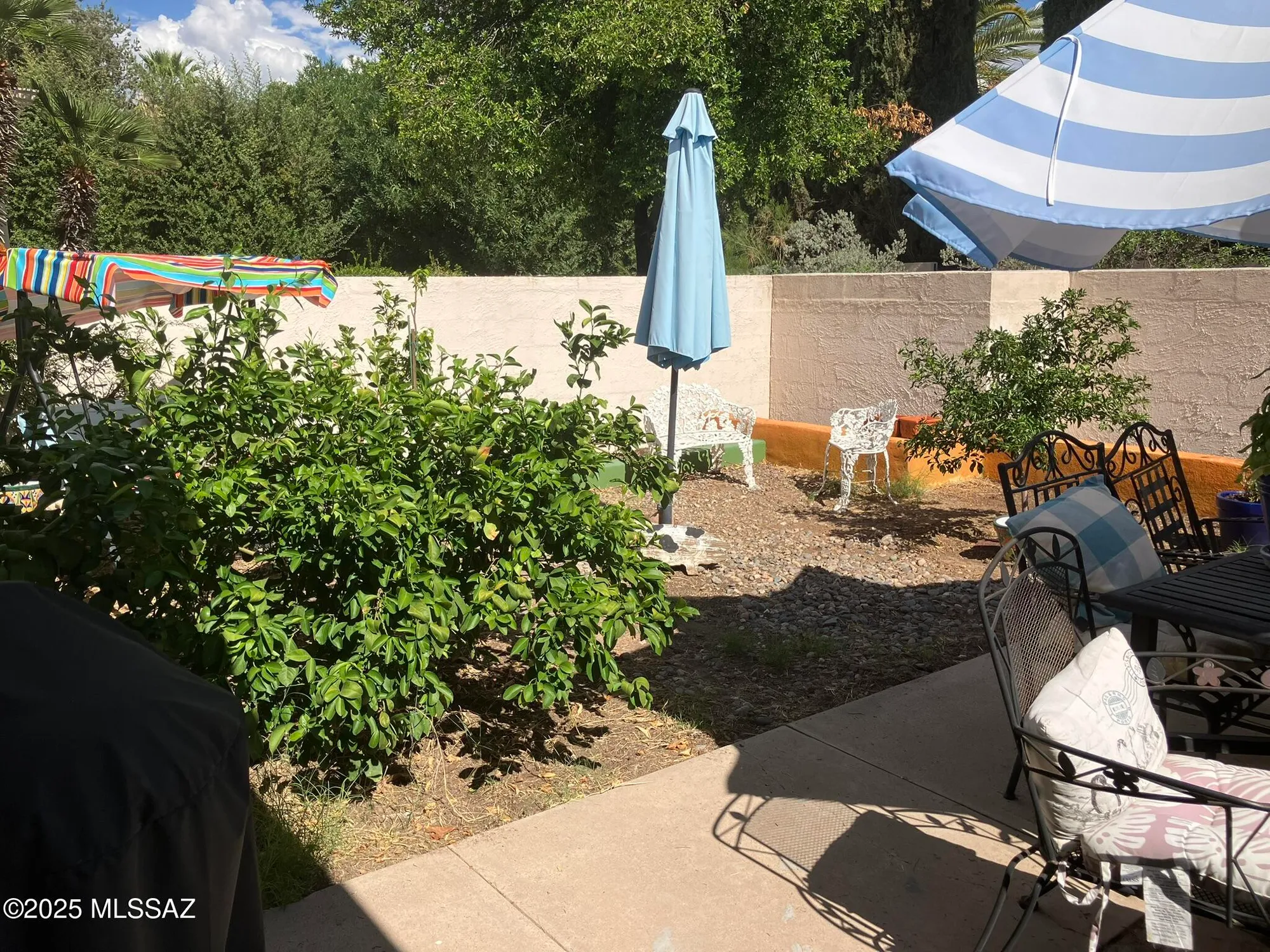 Property Slideshow image 41 of 50 | 8000 n casas pl, Tucson, AZ, 85742