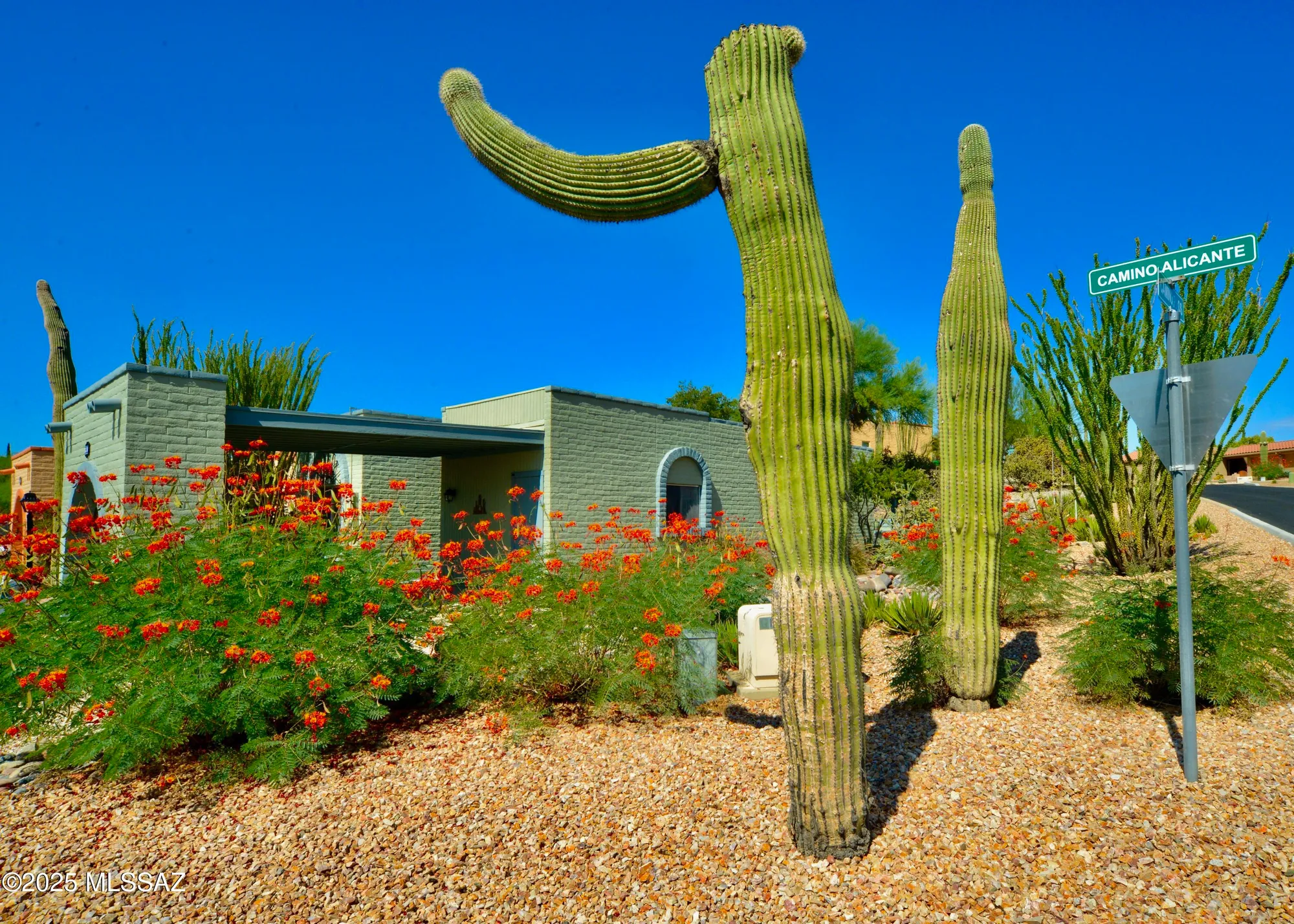 Property Slideshow image 38 of 42 | 1360 w camino alicante, Green Valley, AZ, 85622