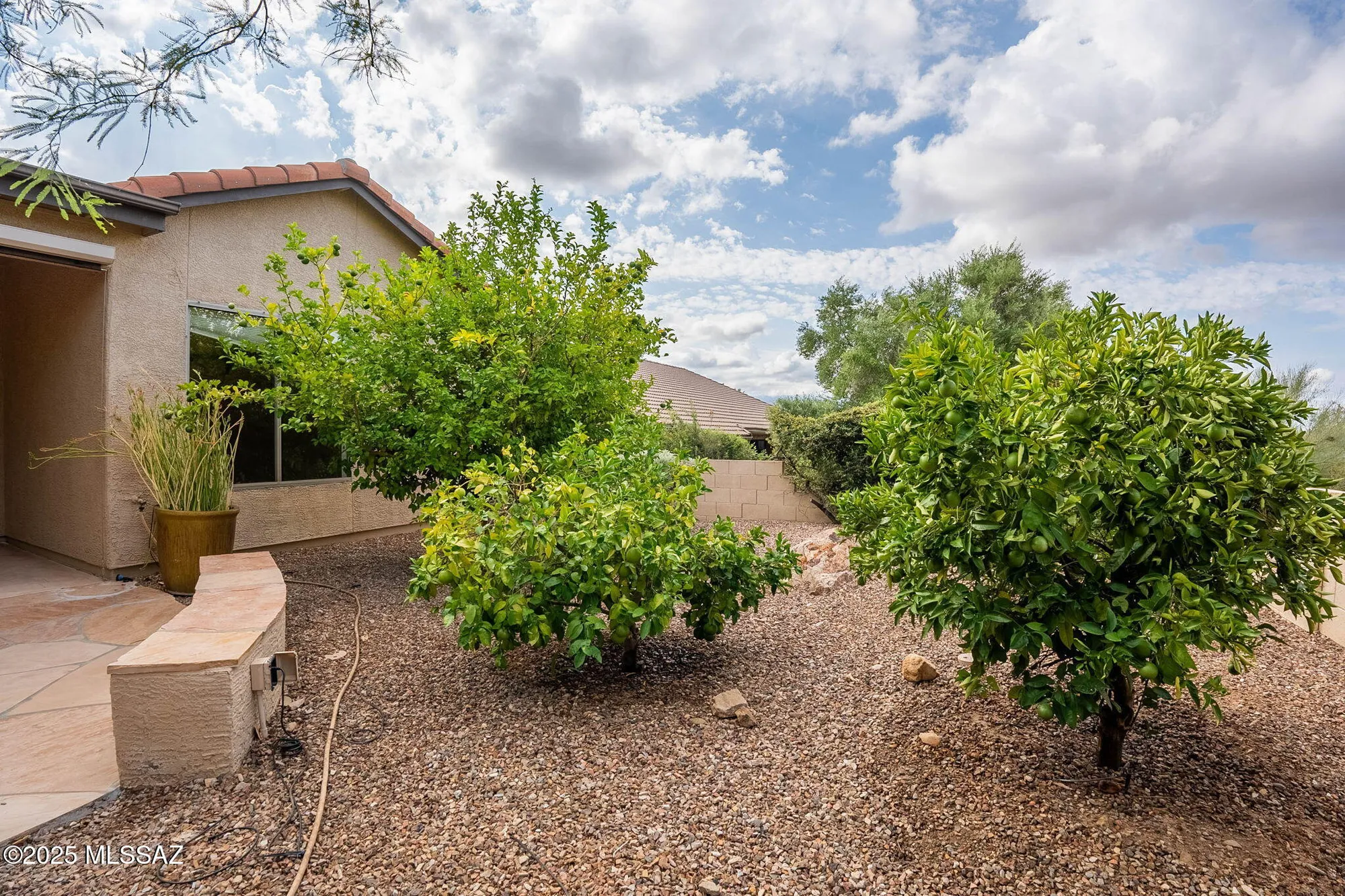 Property Slideshow image 39 of 49 | 38996 s moonwood dr, Saddlebrooke, AZ, 85739