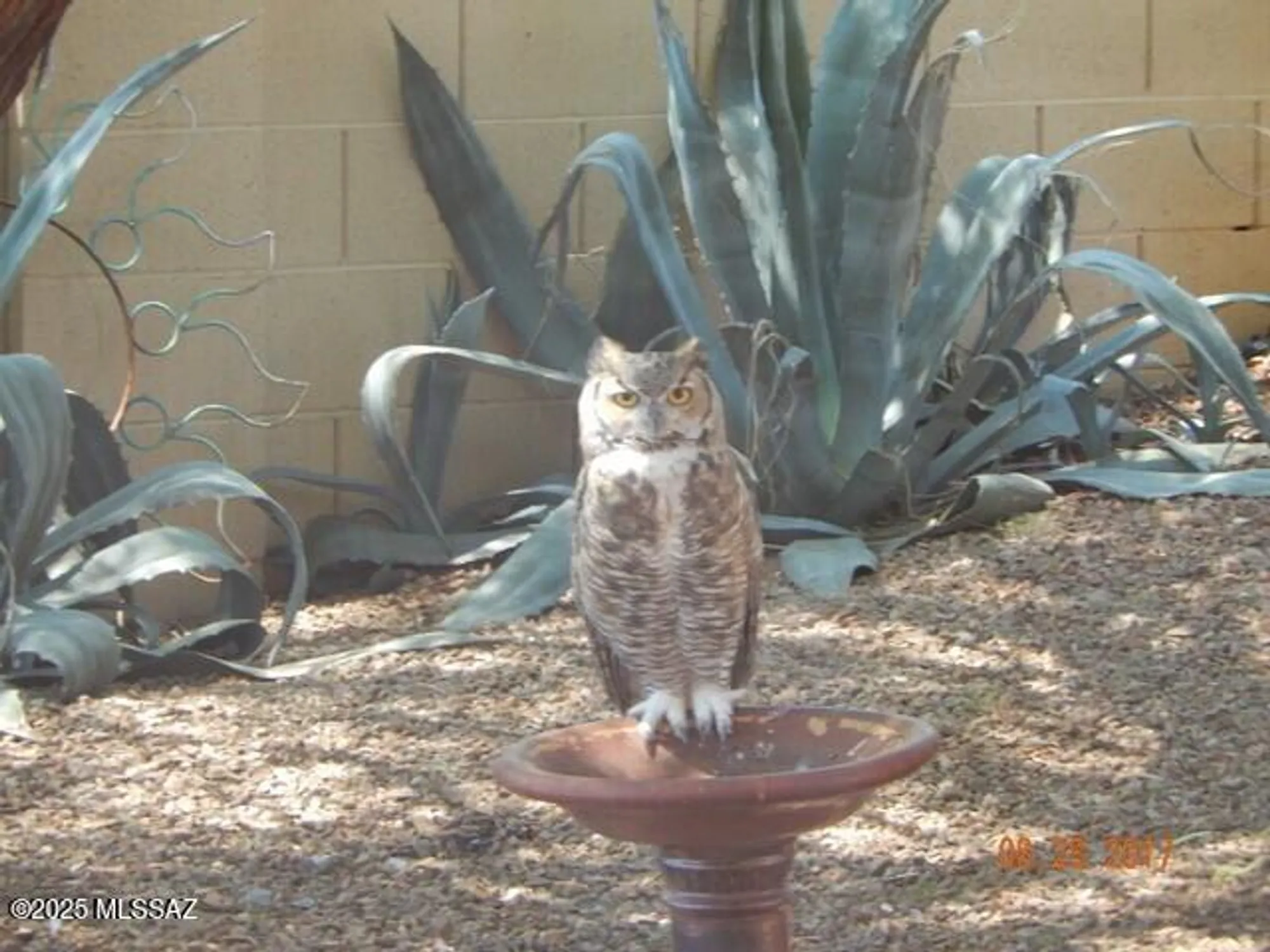 Property Slideshow image 43 of 49 | 38996 s moonwood dr, Saddlebrooke, AZ, 85739