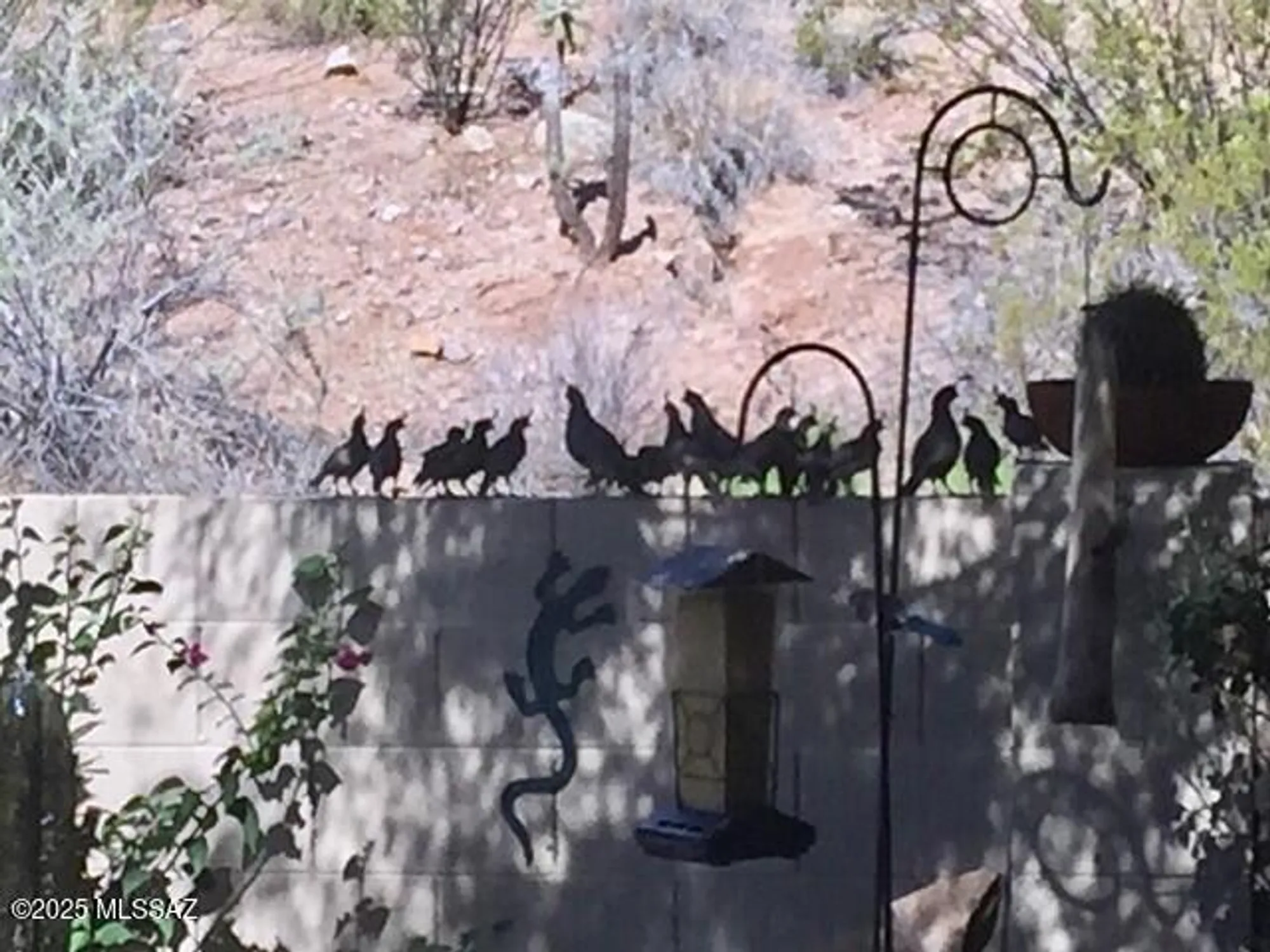 Property Slideshow image 44 of 49 | 38996 s moonwood dr, Saddlebrooke, AZ, 85739