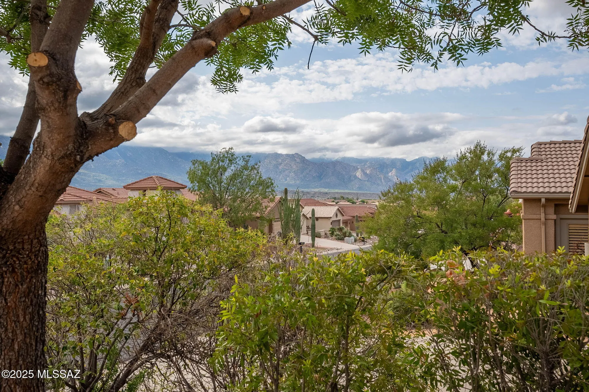 Property Slideshow image 48 of 49 | 38996 s moonwood dr, Saddlebrooke, AZ, 85739