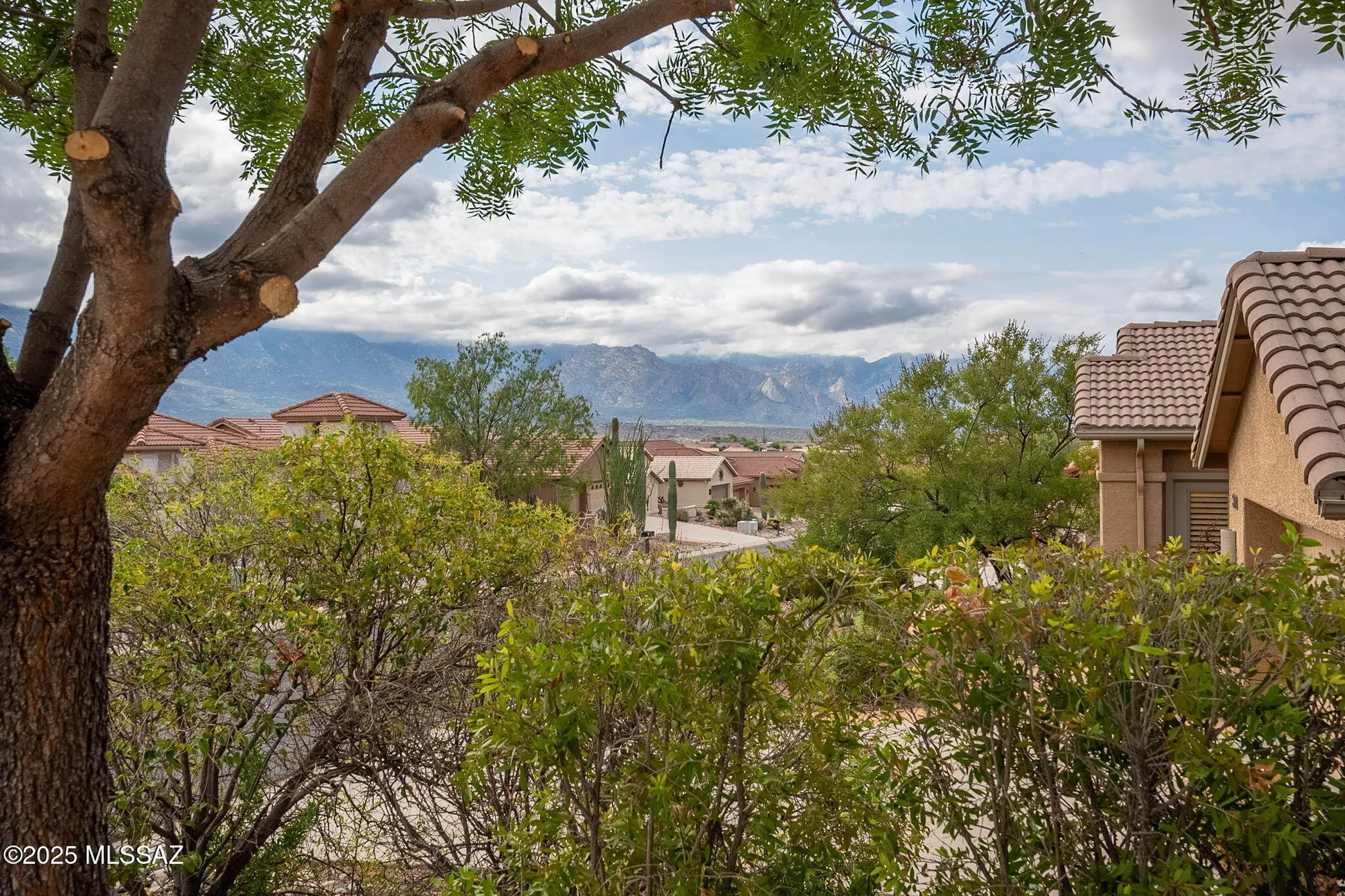 Property Slideshow image 49 of 49 | 38996 s moonwood dr, Saddlebrooke, AZ, 85739