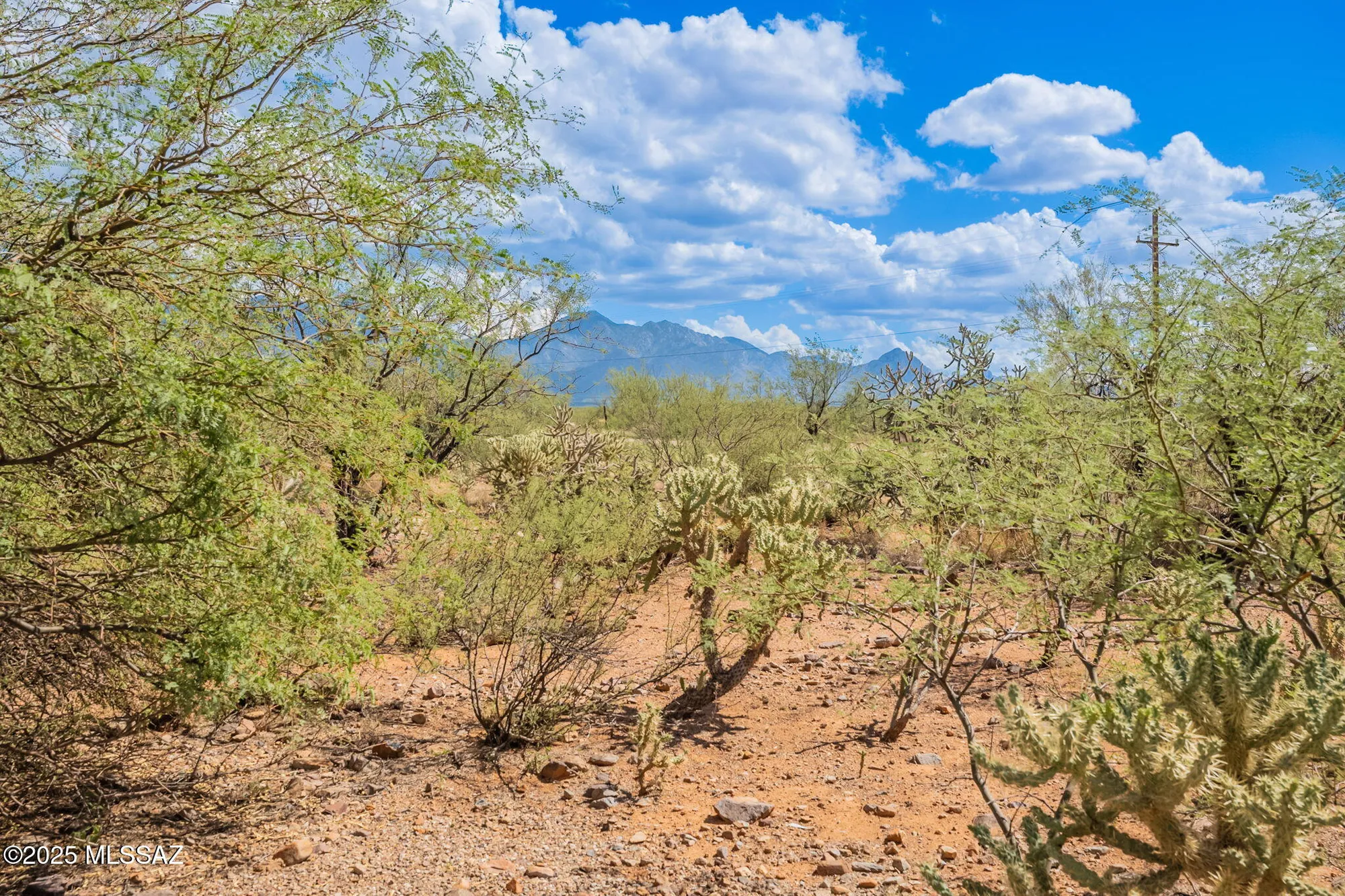 Property Slideshow image 50 of 51 | 908 e sawmill canyon pl, Green Valley, AZ, 85614
