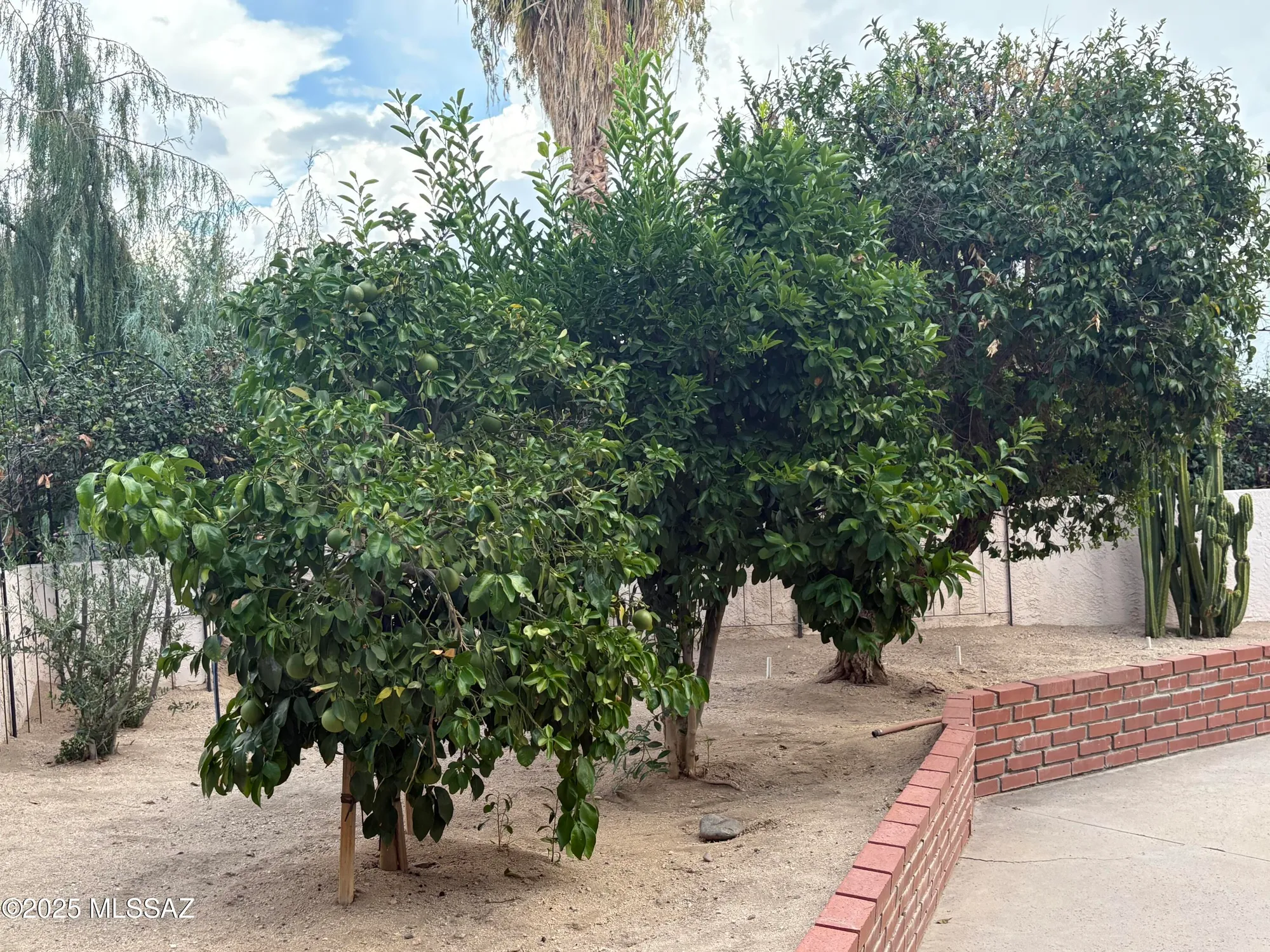 Property Slideshow image 44 of 48 | 7921 n casas carmen, Tucson, AZ, 85742