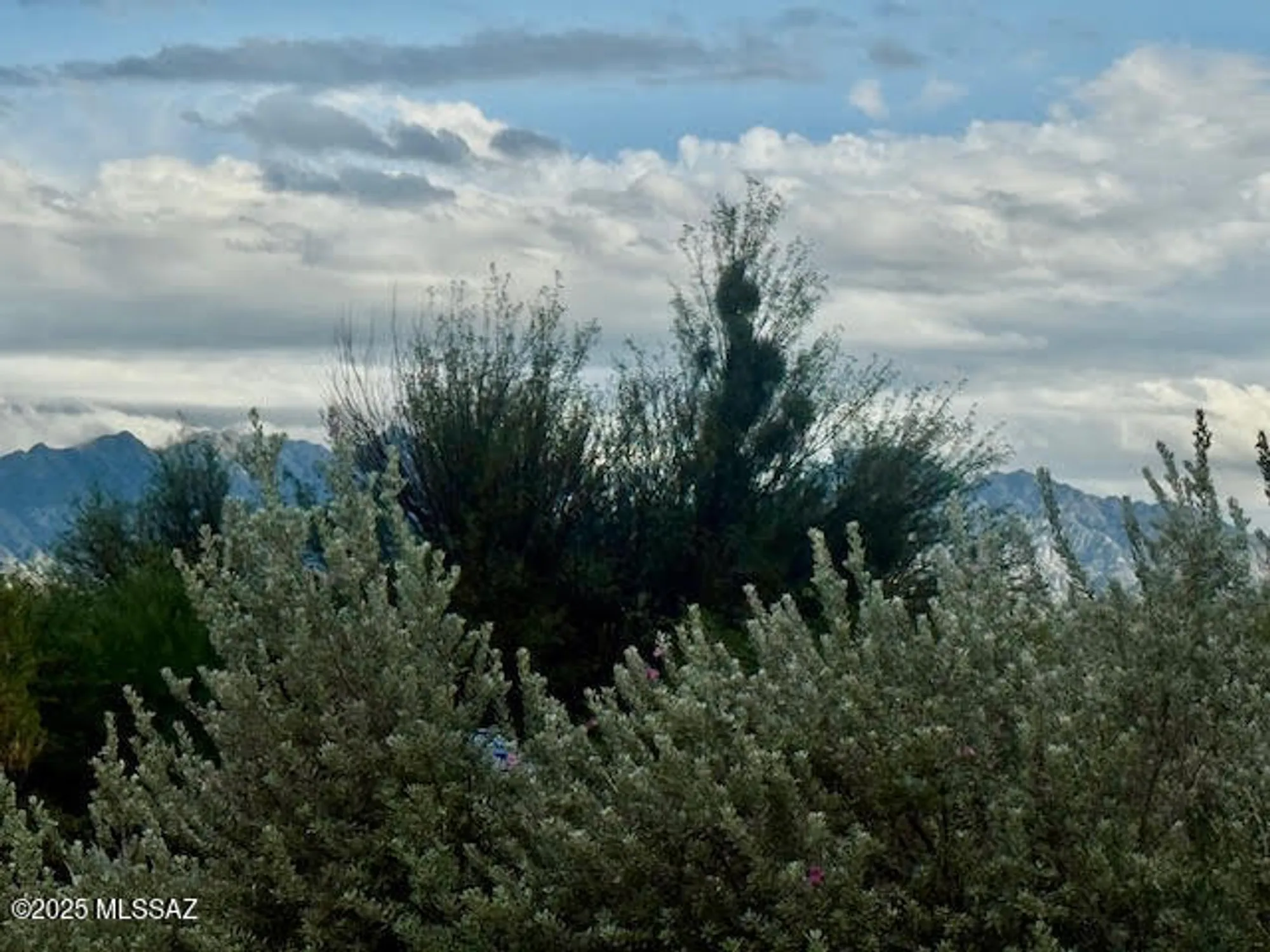 Property Slideshow image 2 of 11 | 260 s paseo aguila c, Green Valley, AZ, 85614