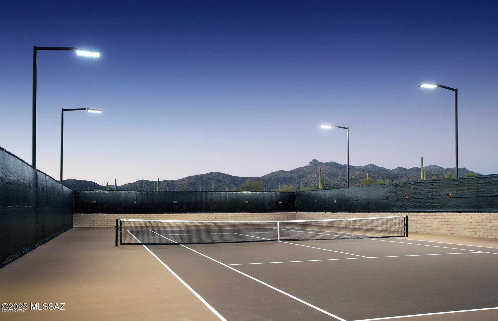 Property Slideshow image 39 of 41 | 14257 n lava falls trl, Marana, AZ, 85658