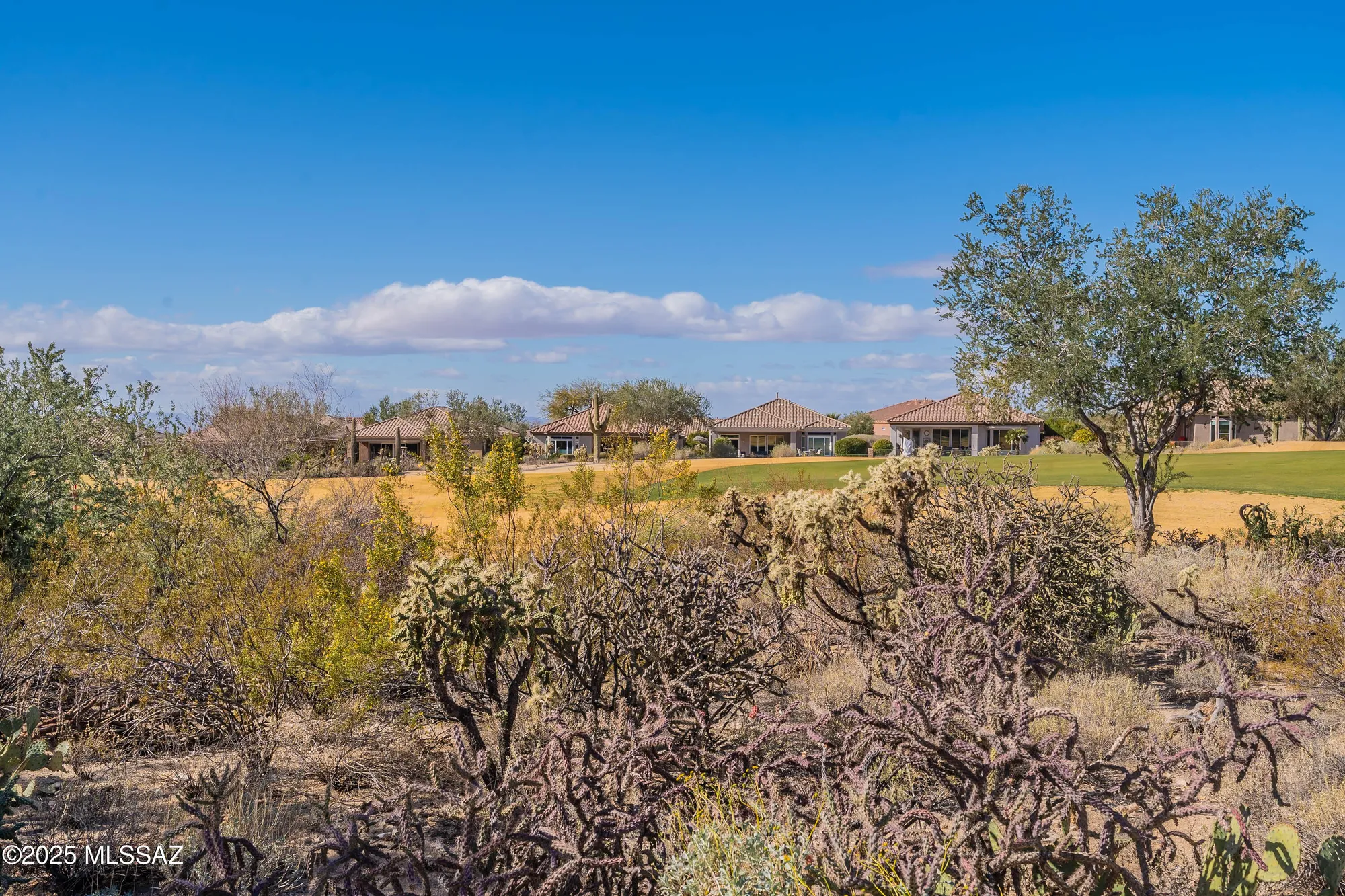 Property Slideshow image 49 of 50 | 13657 n heritage canyon dr, Marana, AZ, 85658
