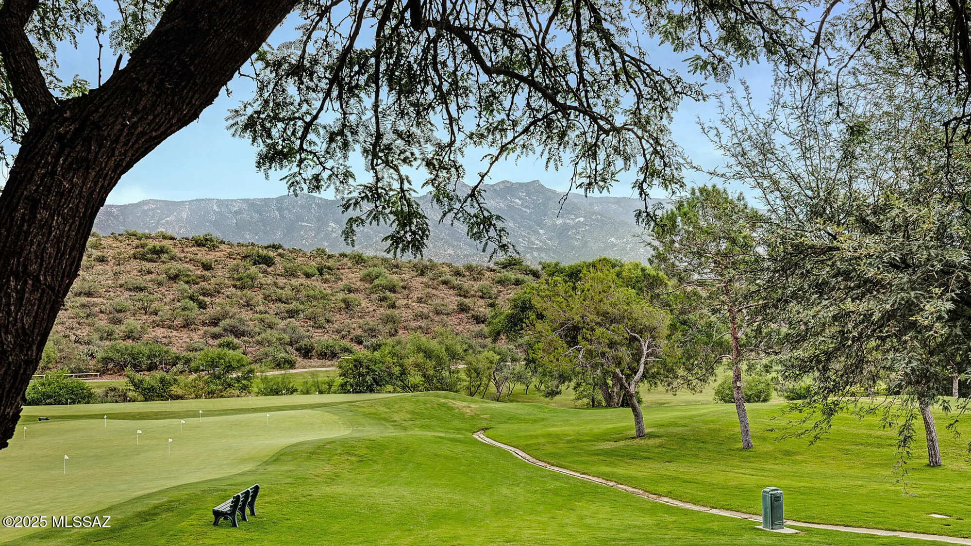 Property Slideshow image 46 of 48 | 38162 s desert bluff dr, Saddlebrooke, AZ, 85739