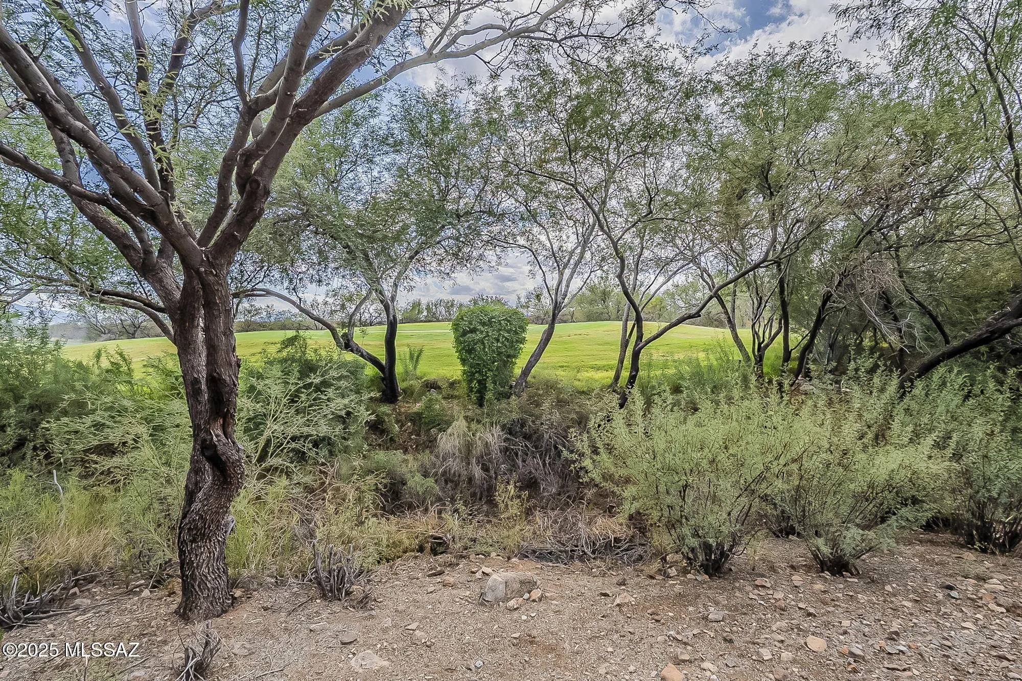 Property Slideshow image 45 of 50 | 2519 w music mountains dr, Green Valley, AZ, 85622