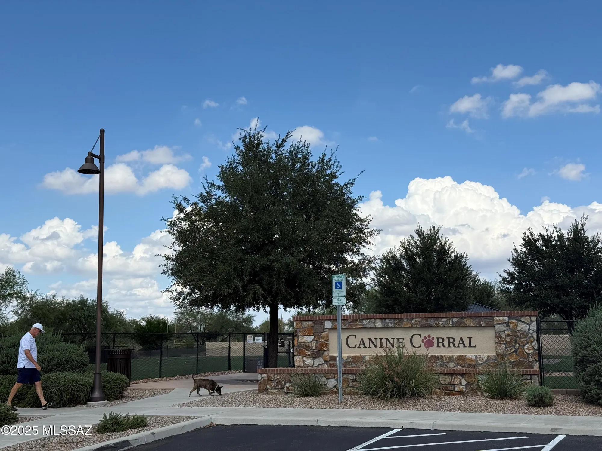 Property Slideshow image 29 of 30 | 61148 e shale rd, Oracle, AZ, 85623