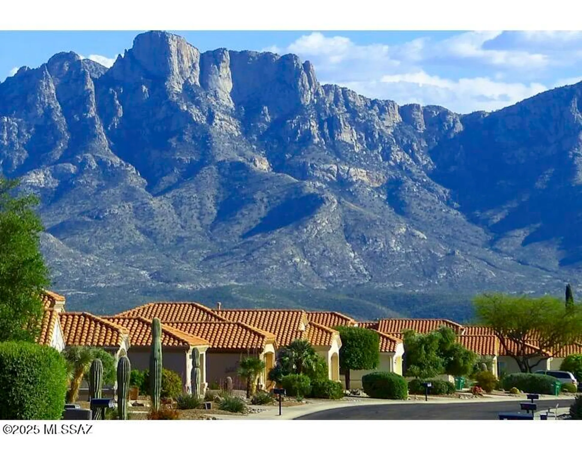 Property Slideshow image 39 of 40 | 917 e royal ridge dr, Oro Valley, AZ, 85755