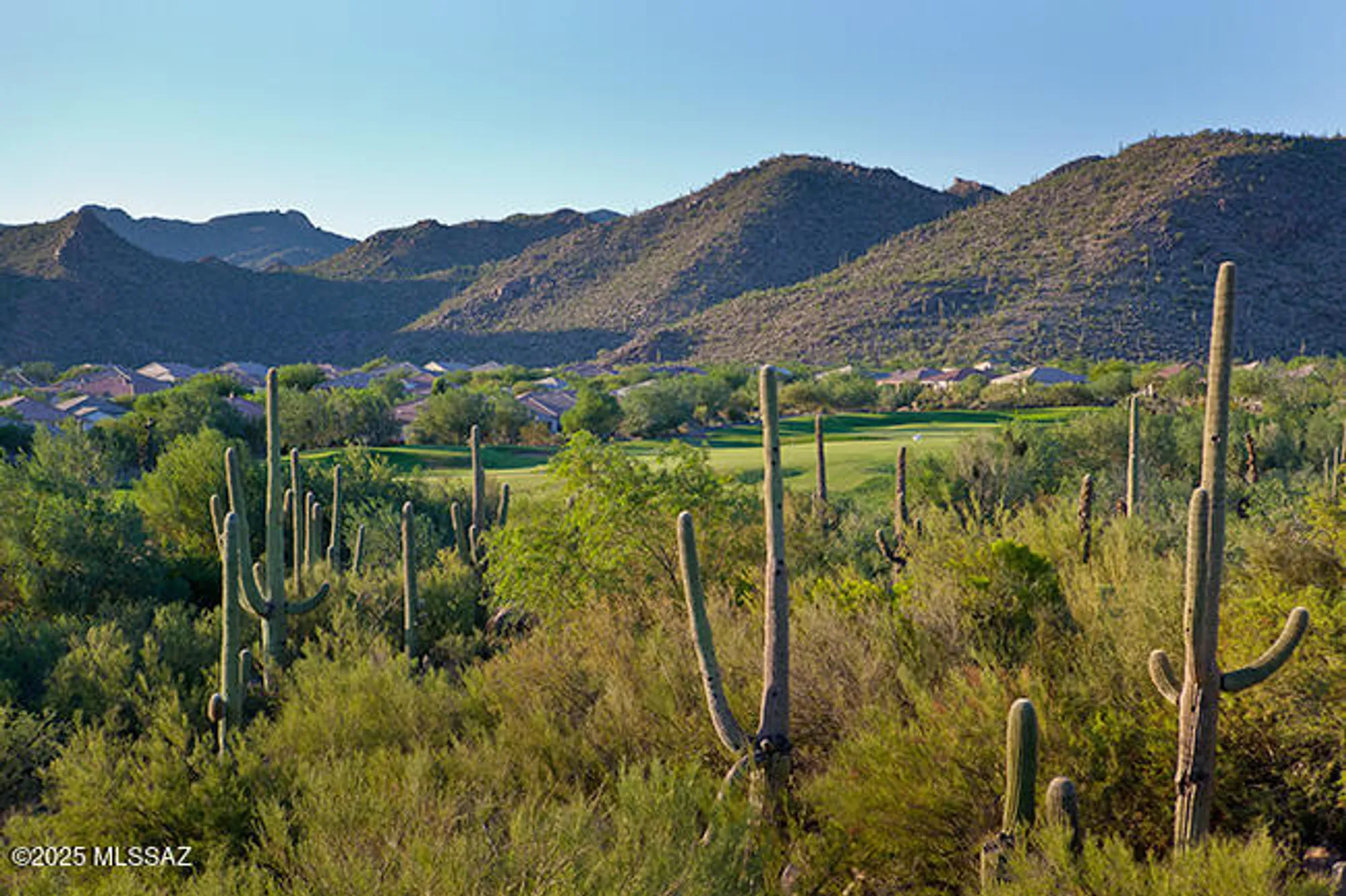 Property Slideshow image 36 of 42 | 13136 n desert flora ln, Marana, AZ, 85658