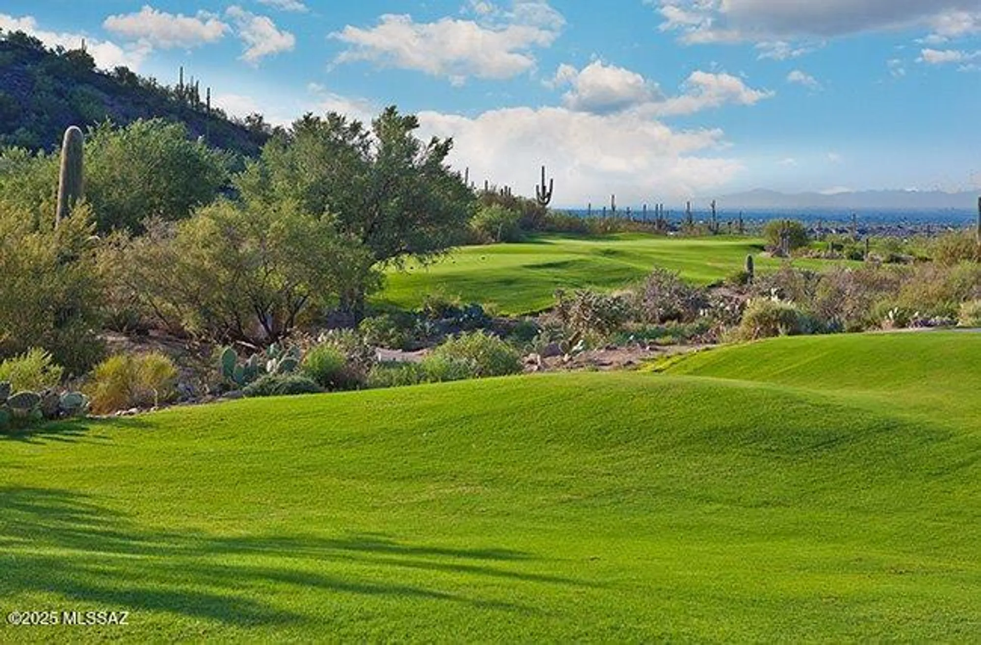 Property Slideshow image 33 of 42 | 13136 n desert flora ln, Marana, AZ, 85658