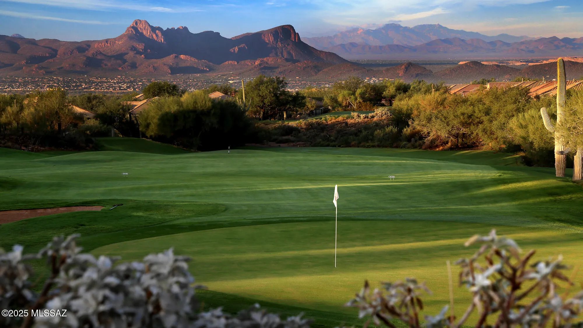 Property Slideshow image 35 of 42 | 13136 n desert flora ln, Marana, AZ, 85658