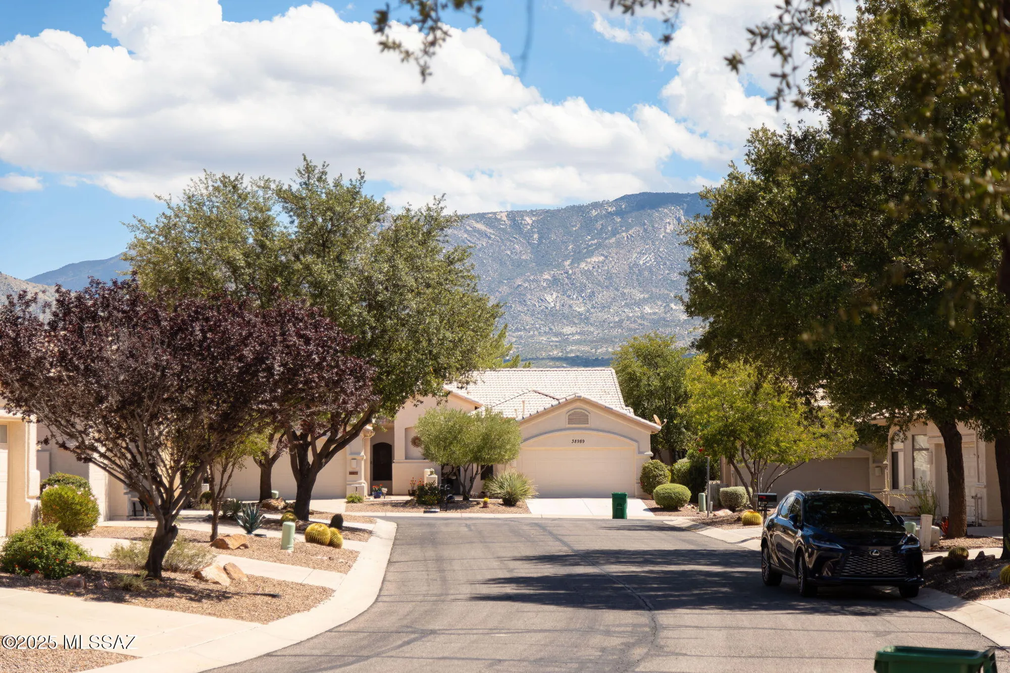 Property Slideshow image 41 of 46 | 38946 s serenity ln, Saddlebrooke, AZ, 85739