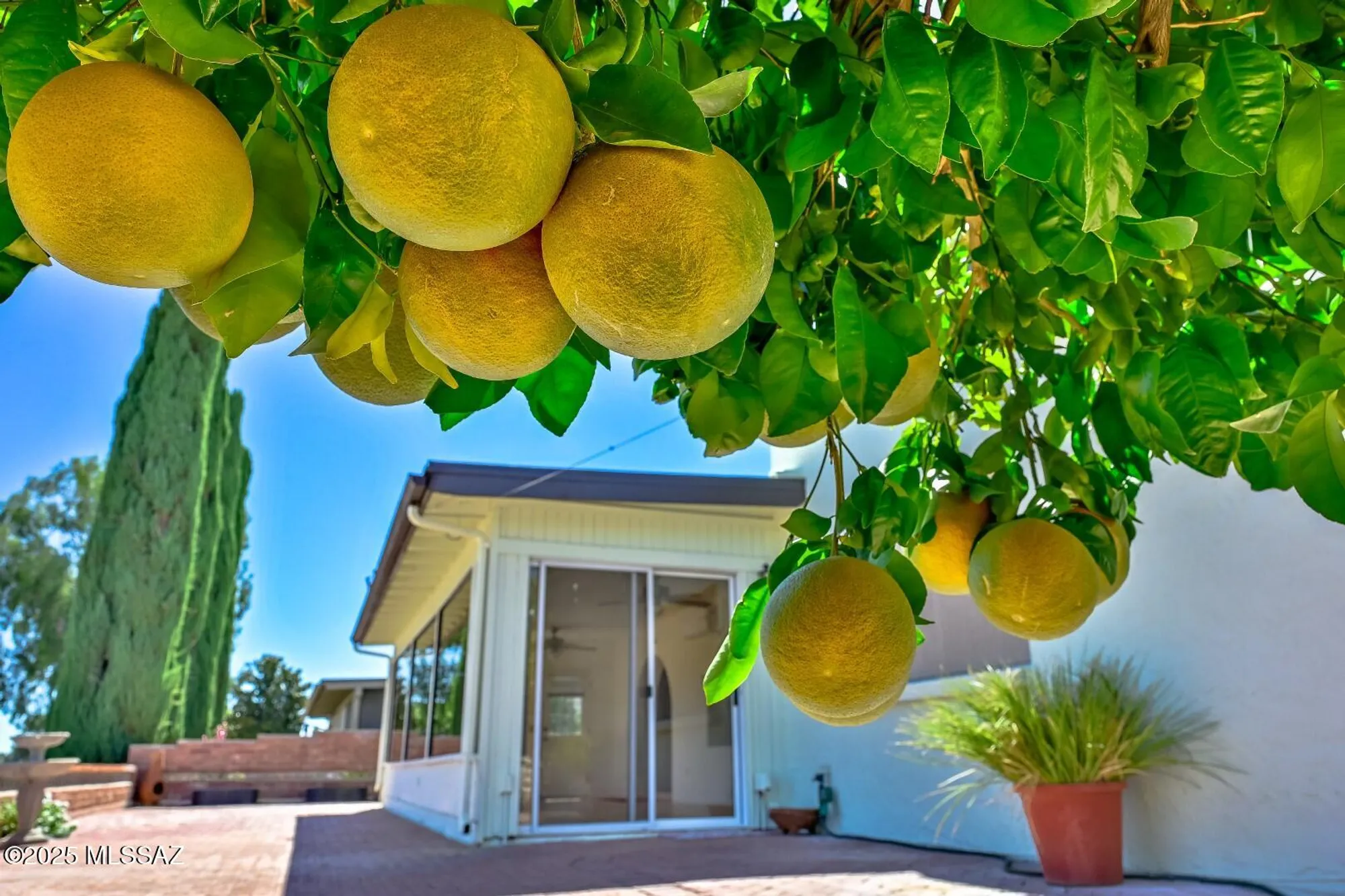 Property Slideshow image 22 of 37 | 934 n abrego dr, Green Valley, AZ, 85614