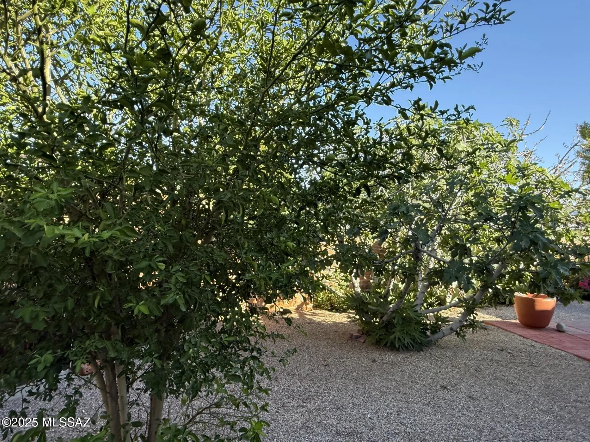 Property Slideshow image 29 of 35 | 240 e el viento, Green Valley, AZ, 85614