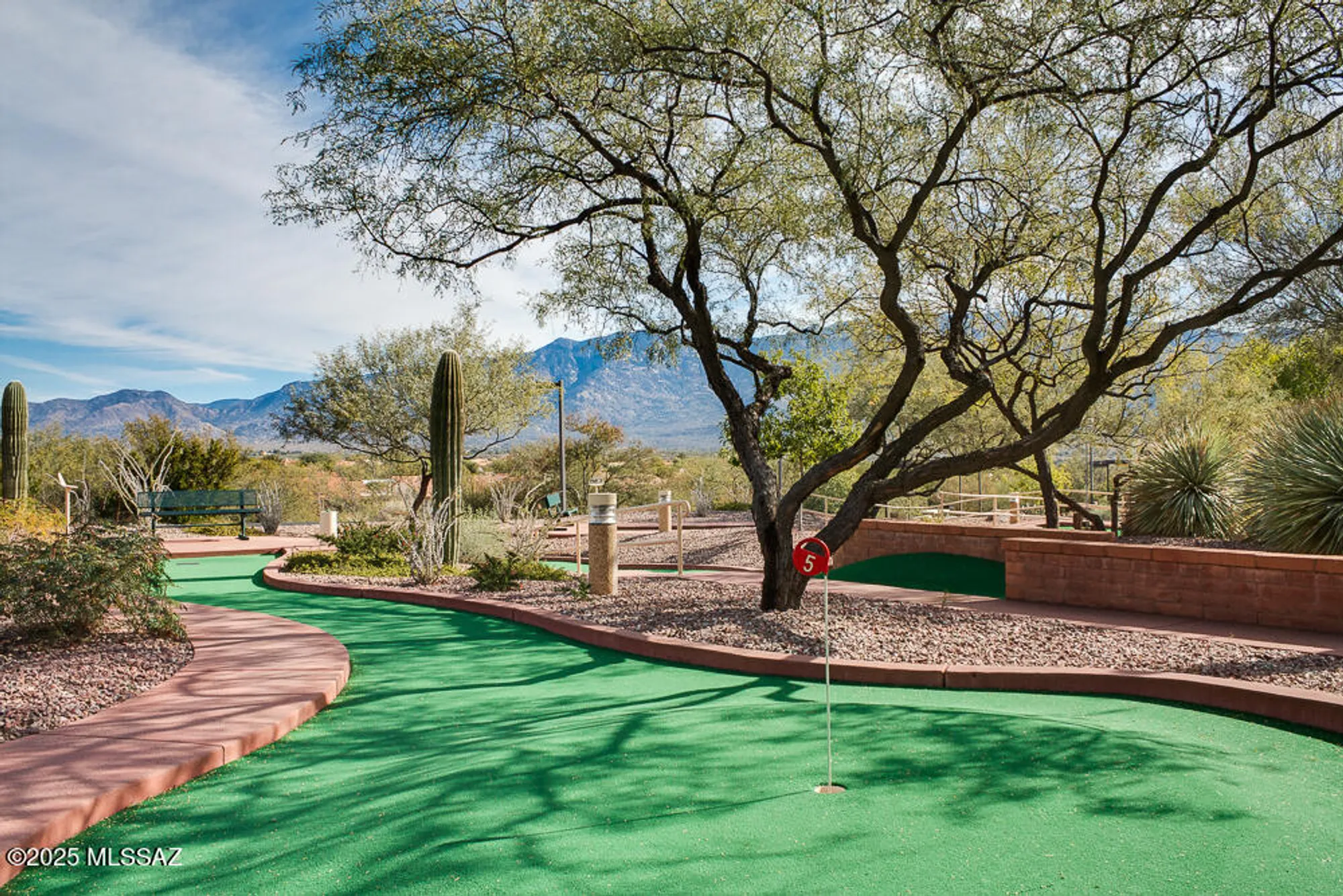 Property Slideshow image 39 of 42 | 14230 n lobelia way, Oro Valley, AZ, 85755