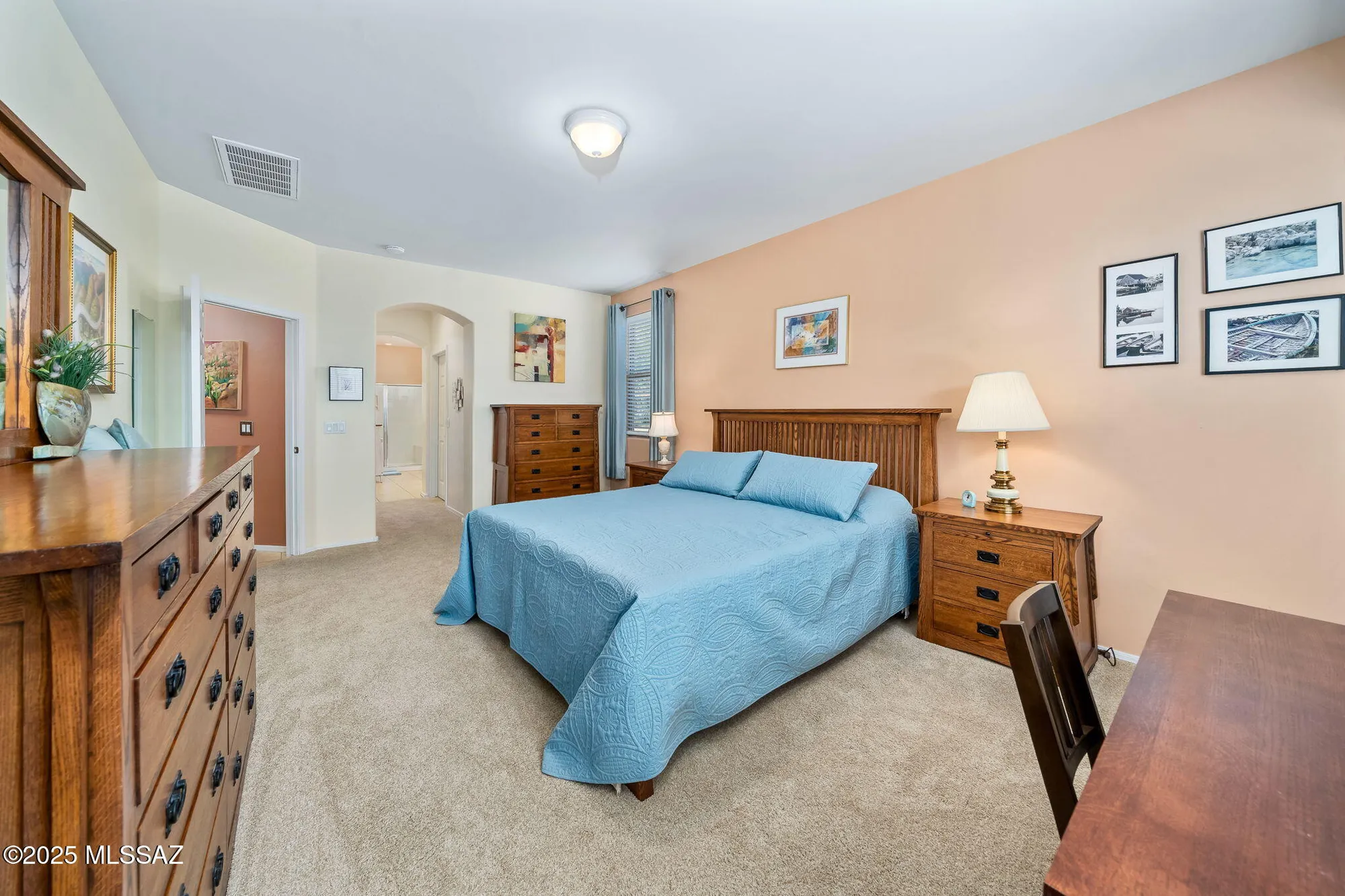 Property Slideshow image 17 of 51 | 13872 e carruthers st, Vail, AZ, 85641