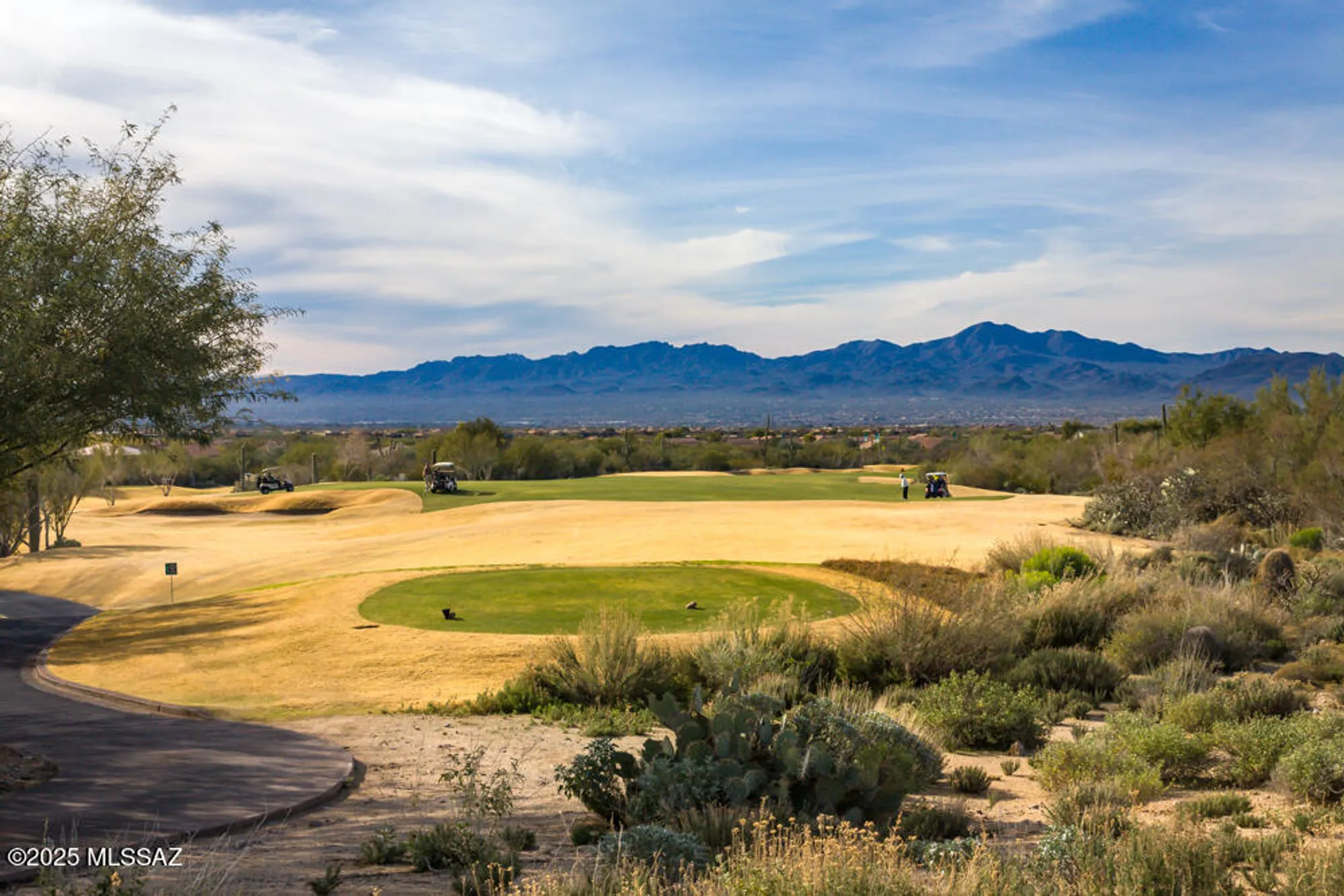 Property Slideshow image 28 of 35 | 13497 n holly grape dr, Marana, AZ, 85658
