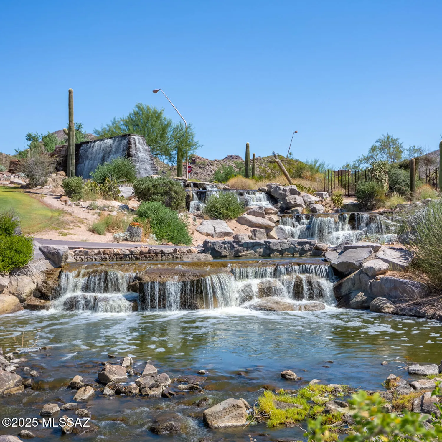 Property Slideshow image 35 of 35 | 13497 n holly grape dr, Marana, AZ, 85658