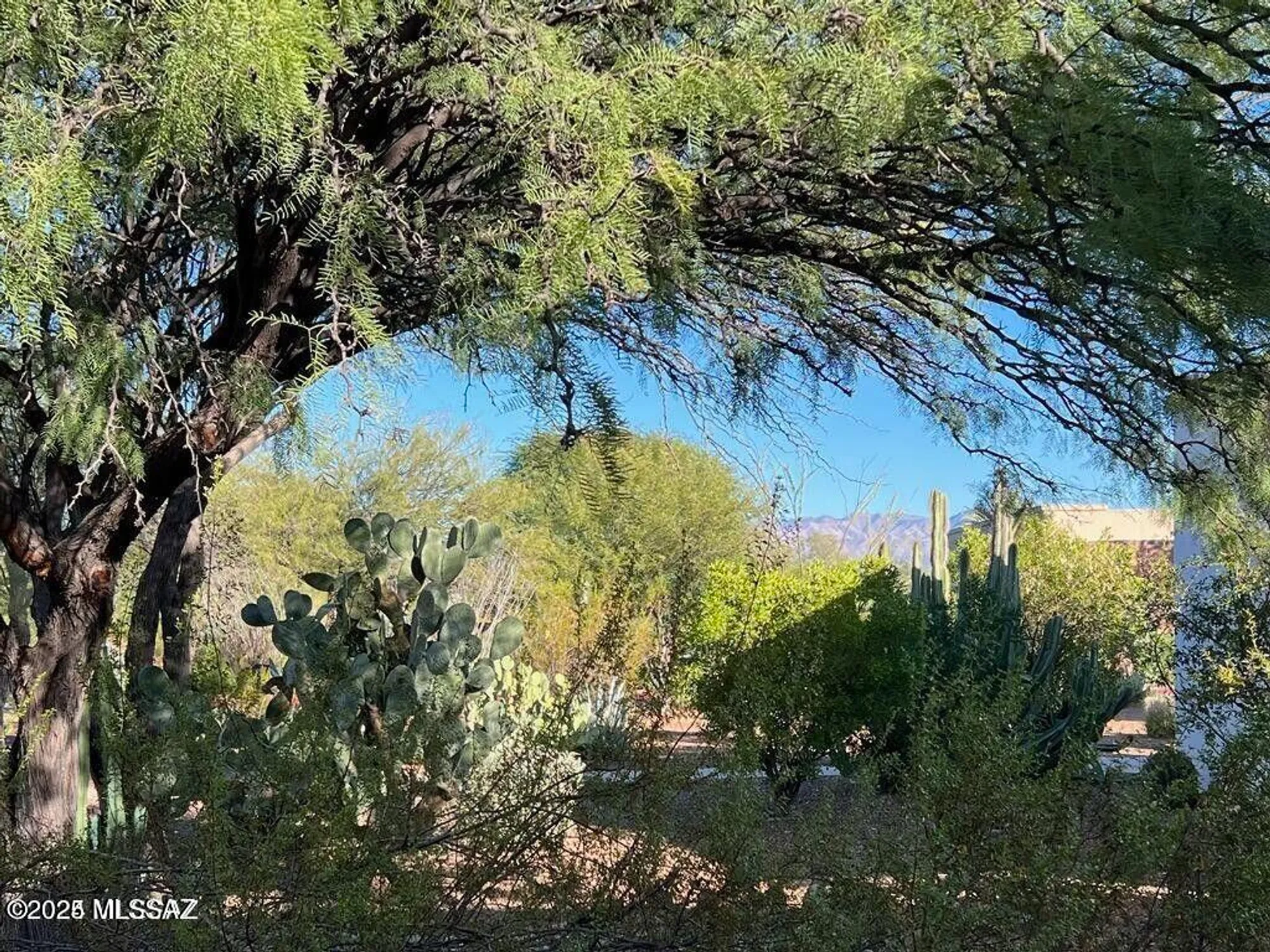 Property Slideshow image 22 of 23 | 401 w esperanza blvd a, Green Valley, AZ, 85614