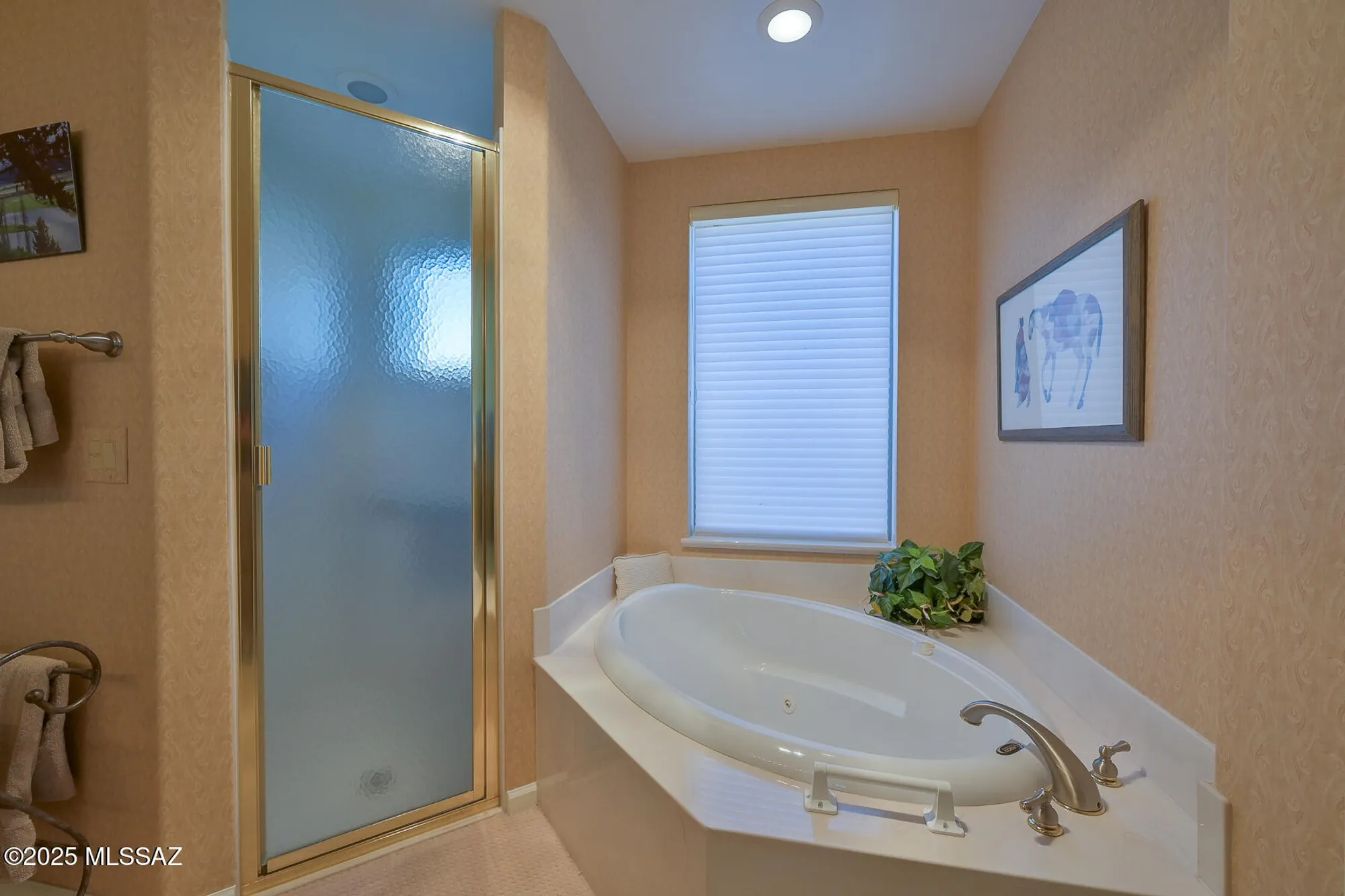 Property Slideshow image 37 of 49 | 38113 s granite crest dr, Saddlebrooke, AZ, 85739