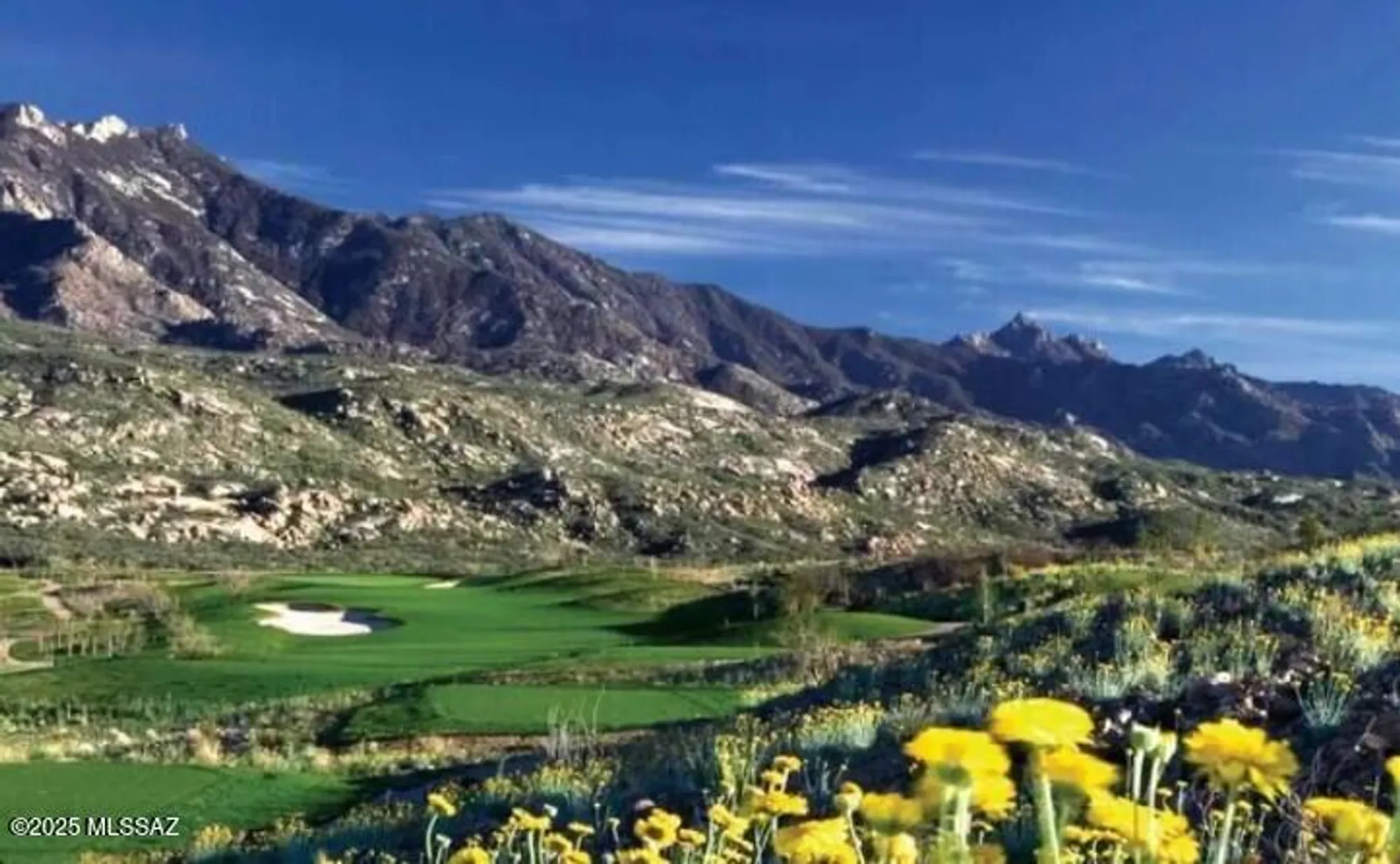 Property Slideshow image 34 of 36 | 37794 s skyline dr, Saddlebrooke, AZ, 85739