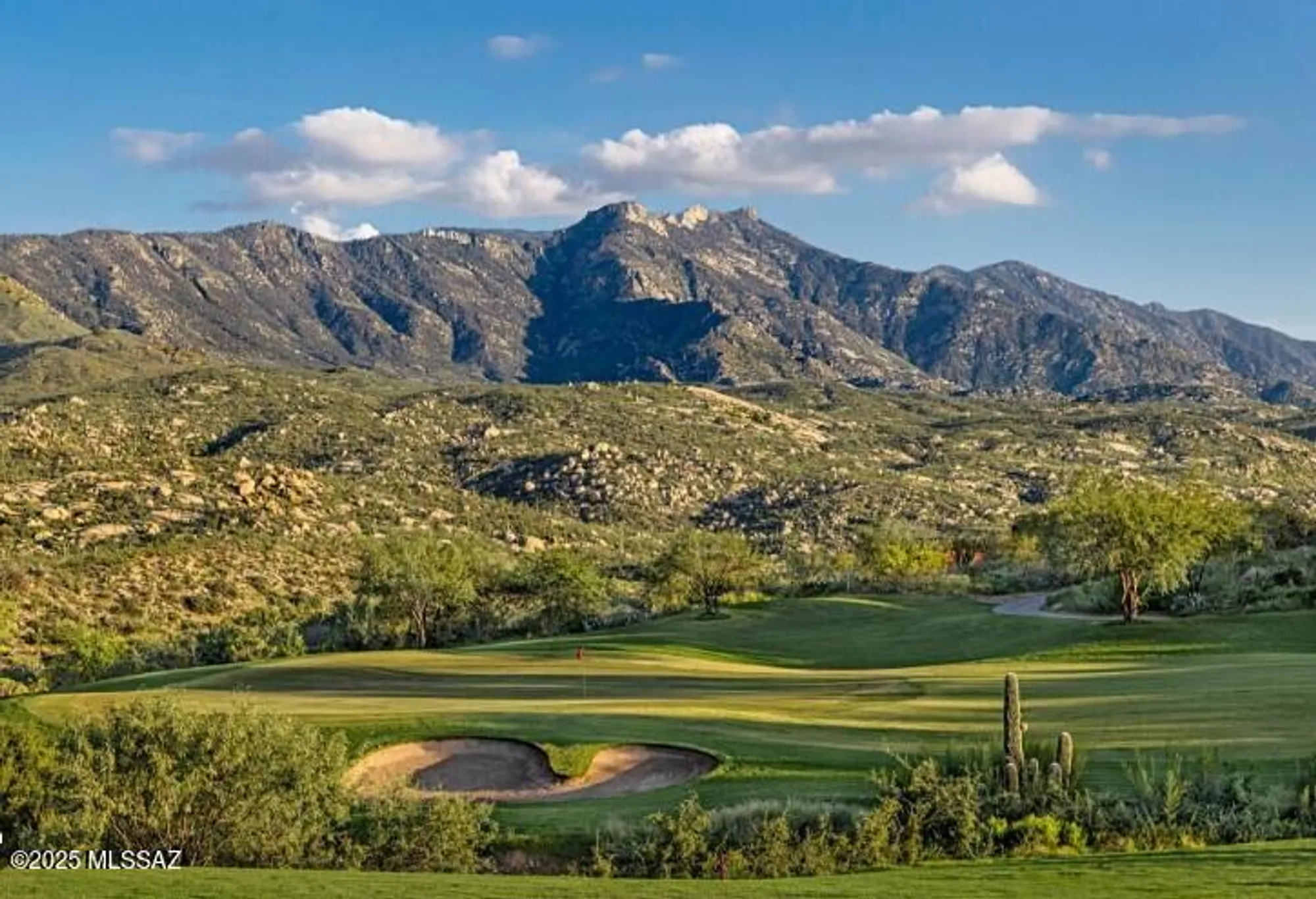 Property Slideshow image 35 of 36 | 37794 s skyline dr, Saddlebrooke, AZ, 85739