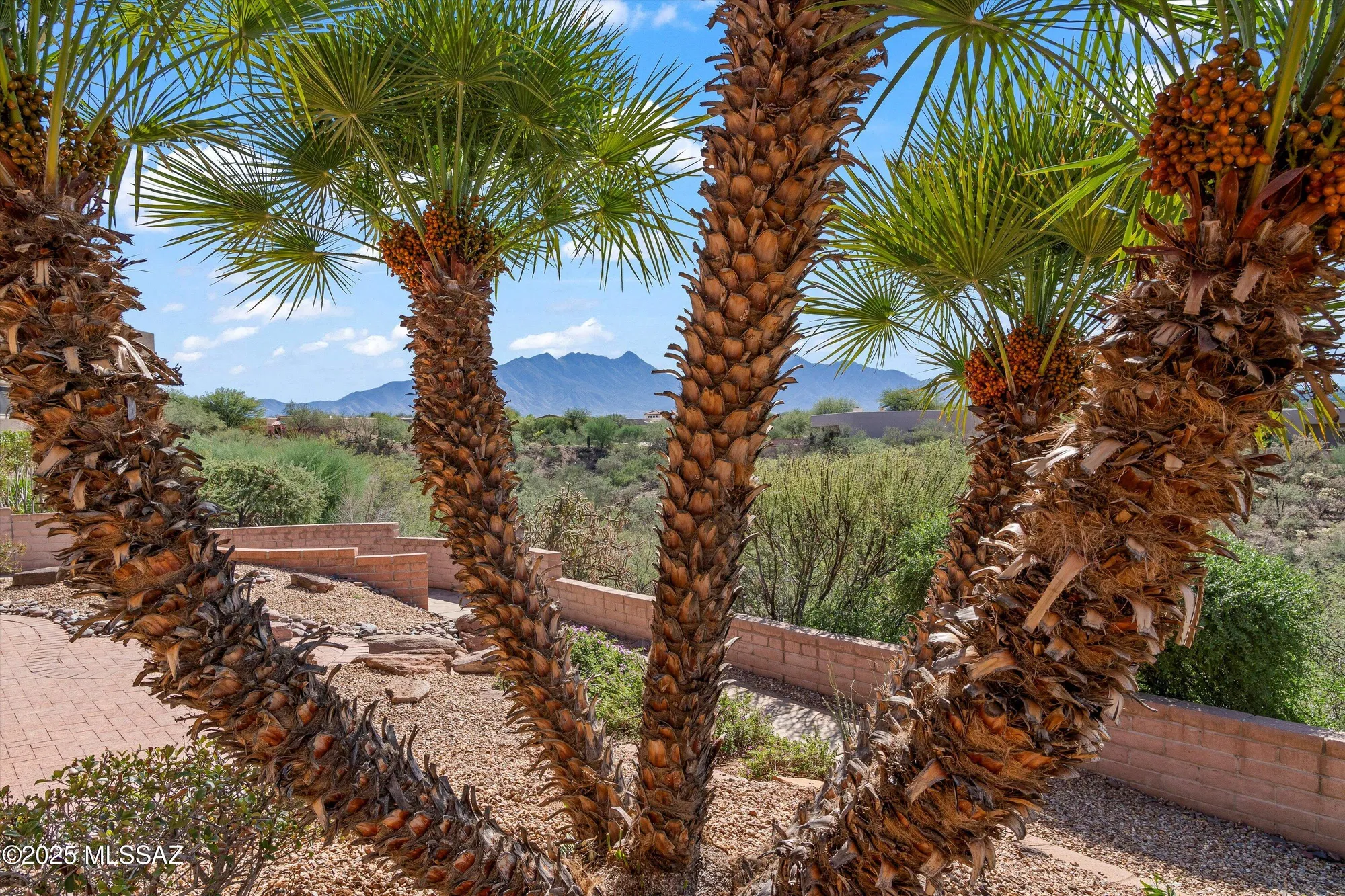 Property Slideshow image 23 of 30 | 810 e josephine canyon dr, Green Valley, AZ, 85614