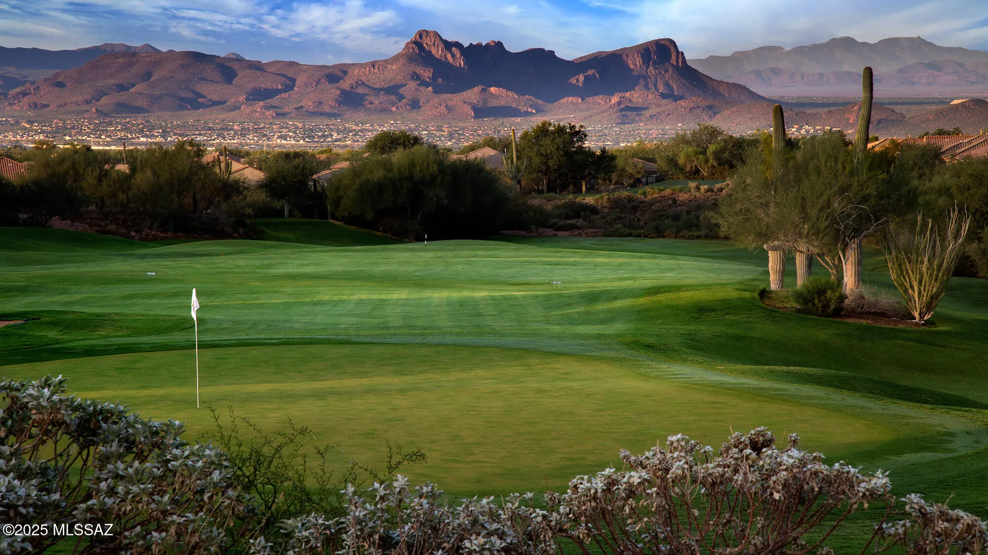 Property Slideshow image 36 of 40 | 13529 n buckhorn cholla dr, Marana, AZ, 85658