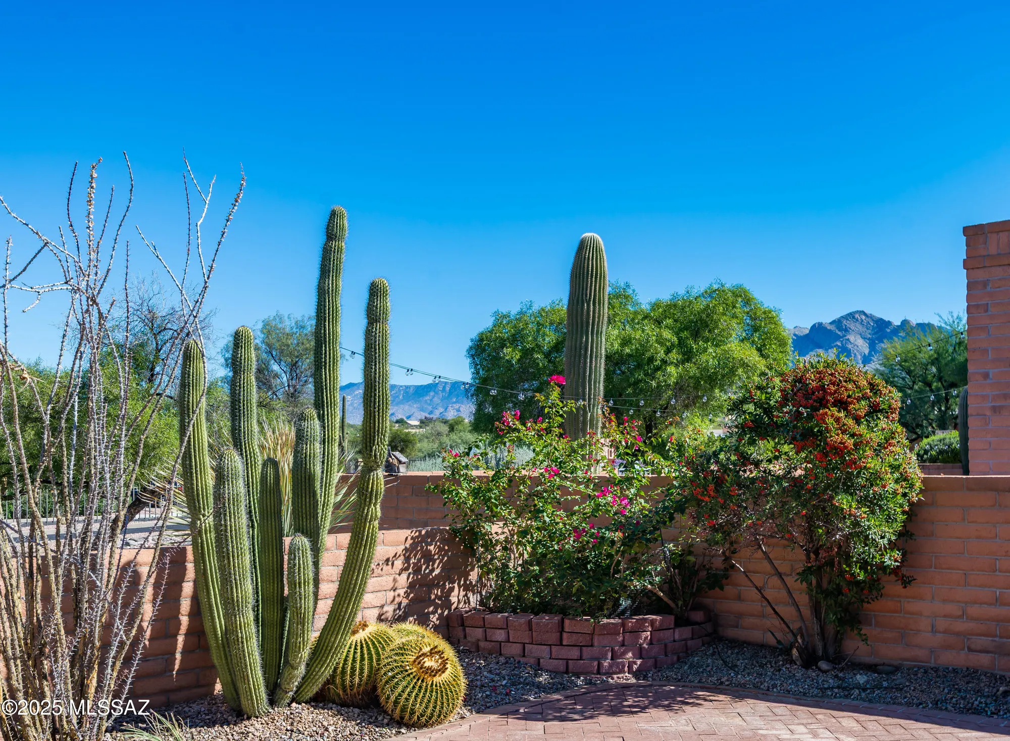 Property Slideshow image 34 of 44 | 8647 n candlewood loop, Tucson, AZ, 85704