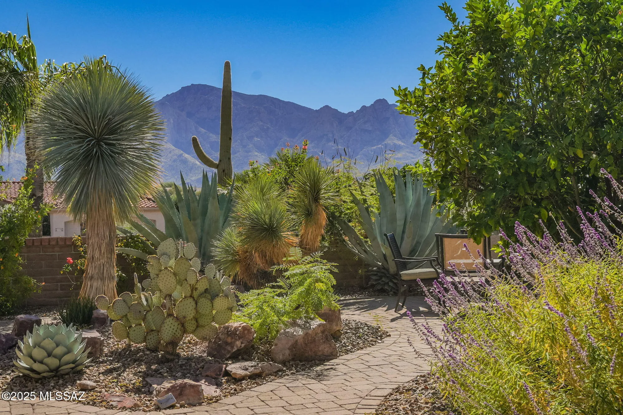 Property Slideshow image 39 of 44 | 2196 e sahuarita wash way, Oro Valley, AZ, 85755