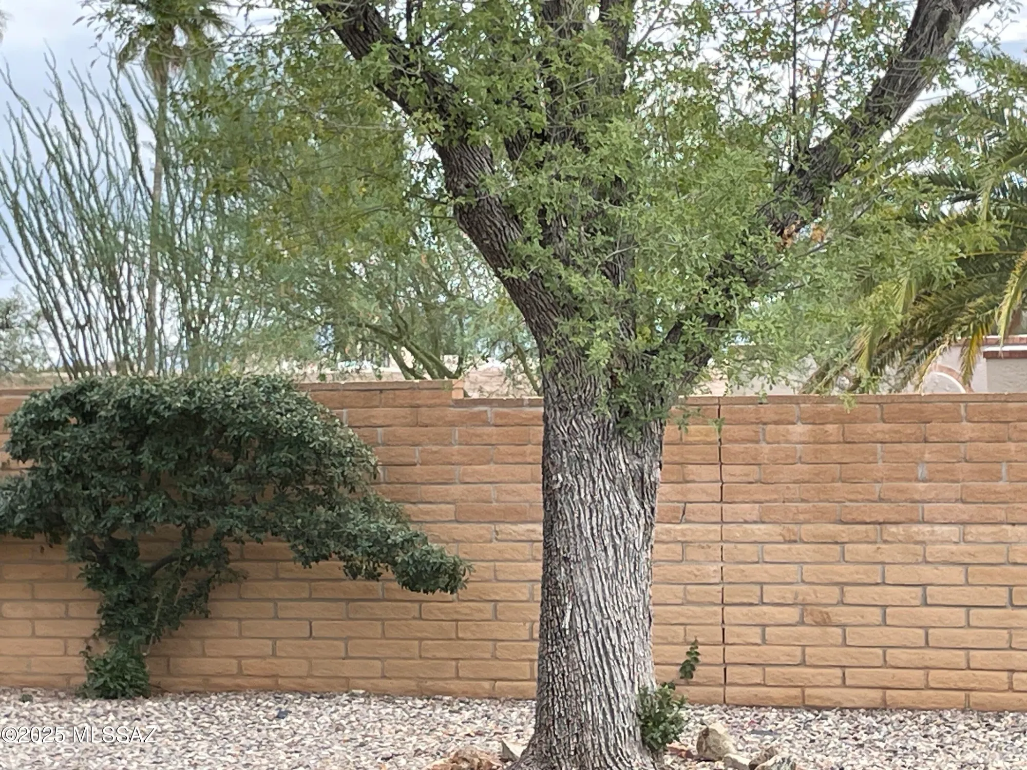 Property Slideshow image 10 of 45 | 903 s las lomas cir, Green Valley, AZ, 85614