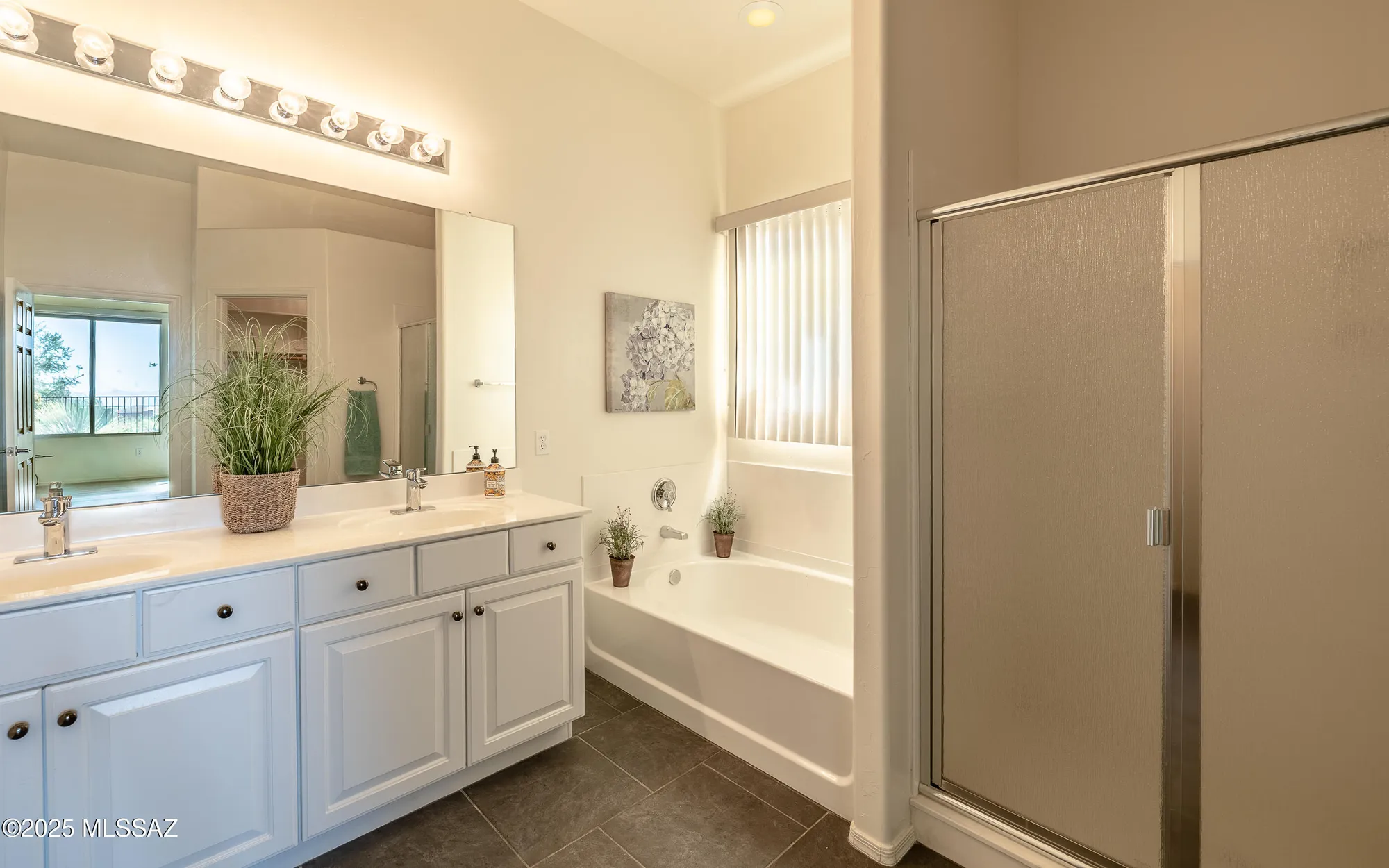 Property Slideshow image 25 of 48 | 13597 n buckhorn cholla dr, Marana, AZ, 85658