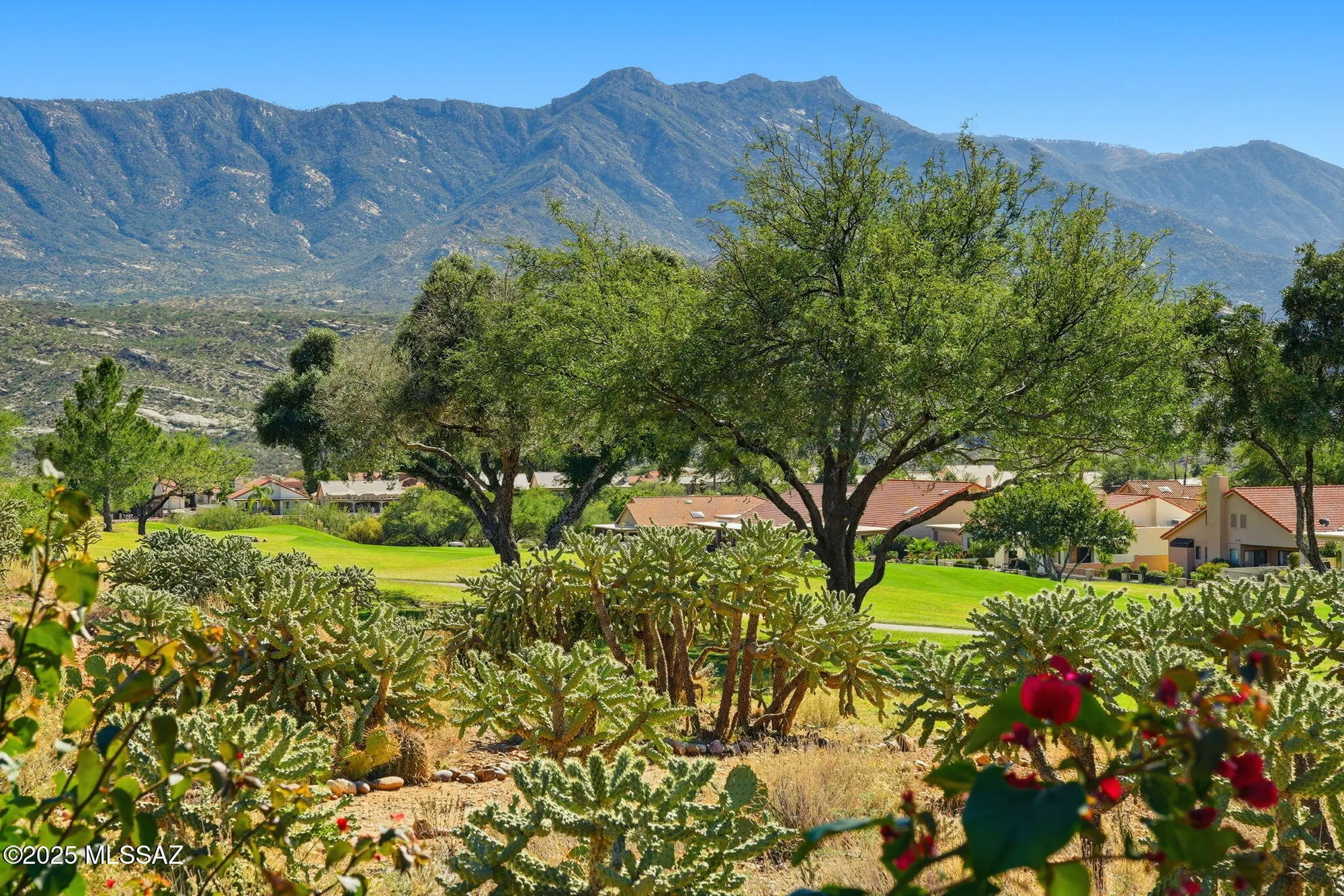 Property Slideshow image 35 of 35 | 65427 e brassie dr, Tucson, AZ, 85739