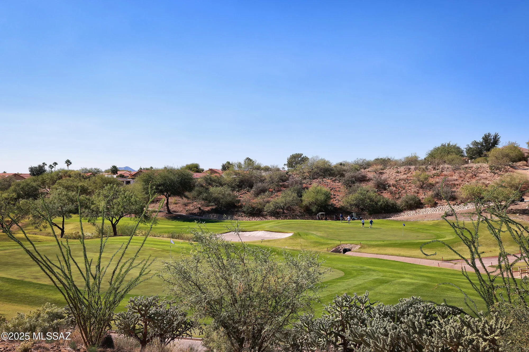 Property Slideshow image 50 of 50 | 38034 s golf course dr, Saddlebrooke, AZ, 85739