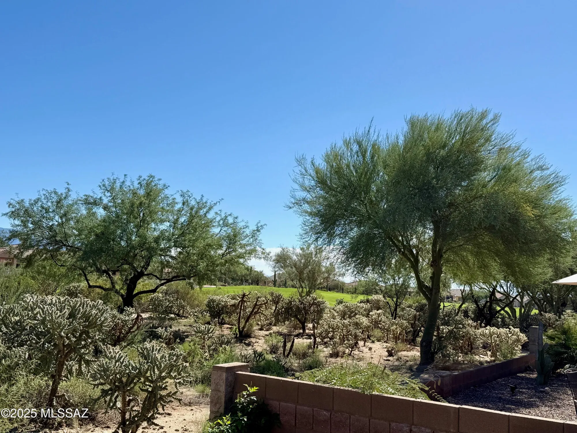 Property Slideshow image 19 of 42 | 13136 n desert flora ln, Marana, AZ, 85658