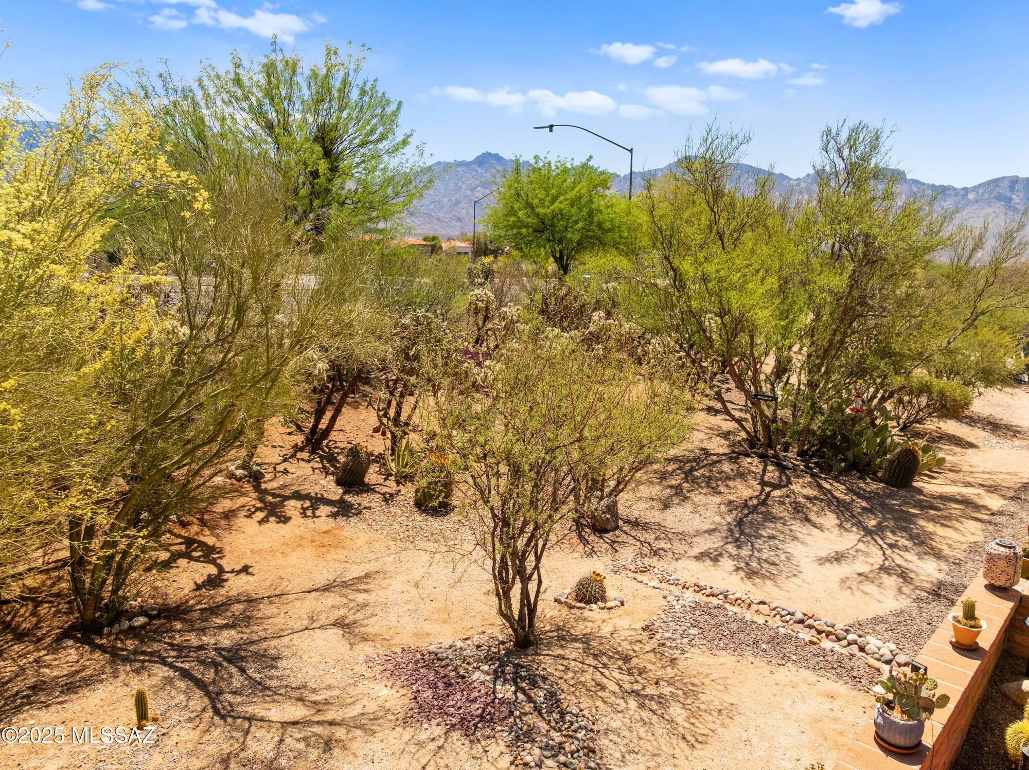 Property Slideshow image 50 of 50 | 14006 n green tree dr, Oro Valley, AZ, 85755
