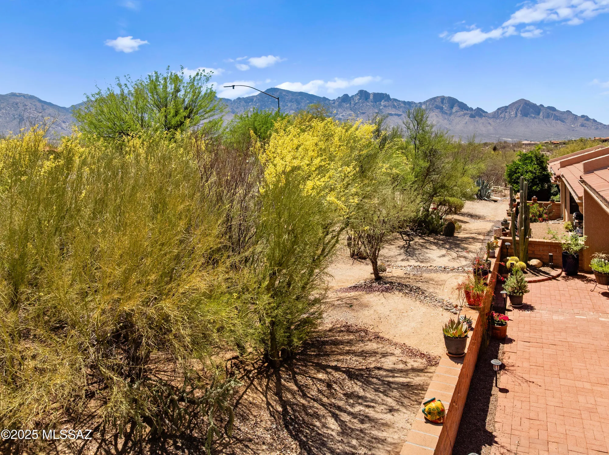Property Slideshow image 33 of 50 | 14006 n green tree dr, Oro Valley, AZ, 85755