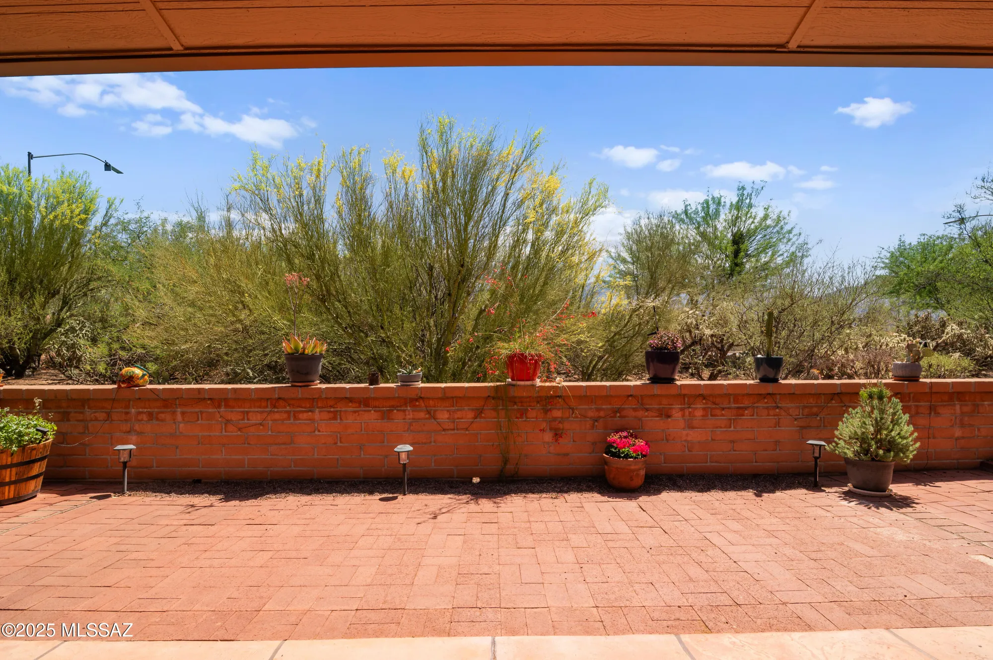 Property Slideshow image 37 of 50 | 14006 n green tree dr, Oro Valley, AZ, 85755